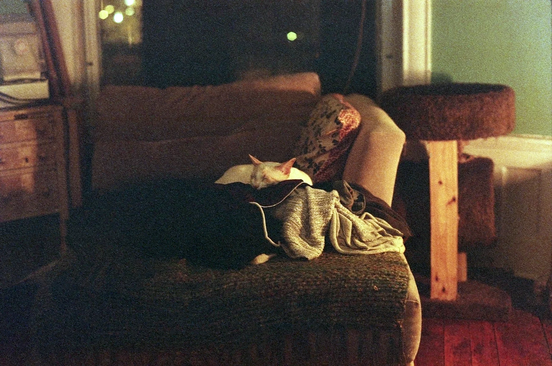 fw-img065*.jpg