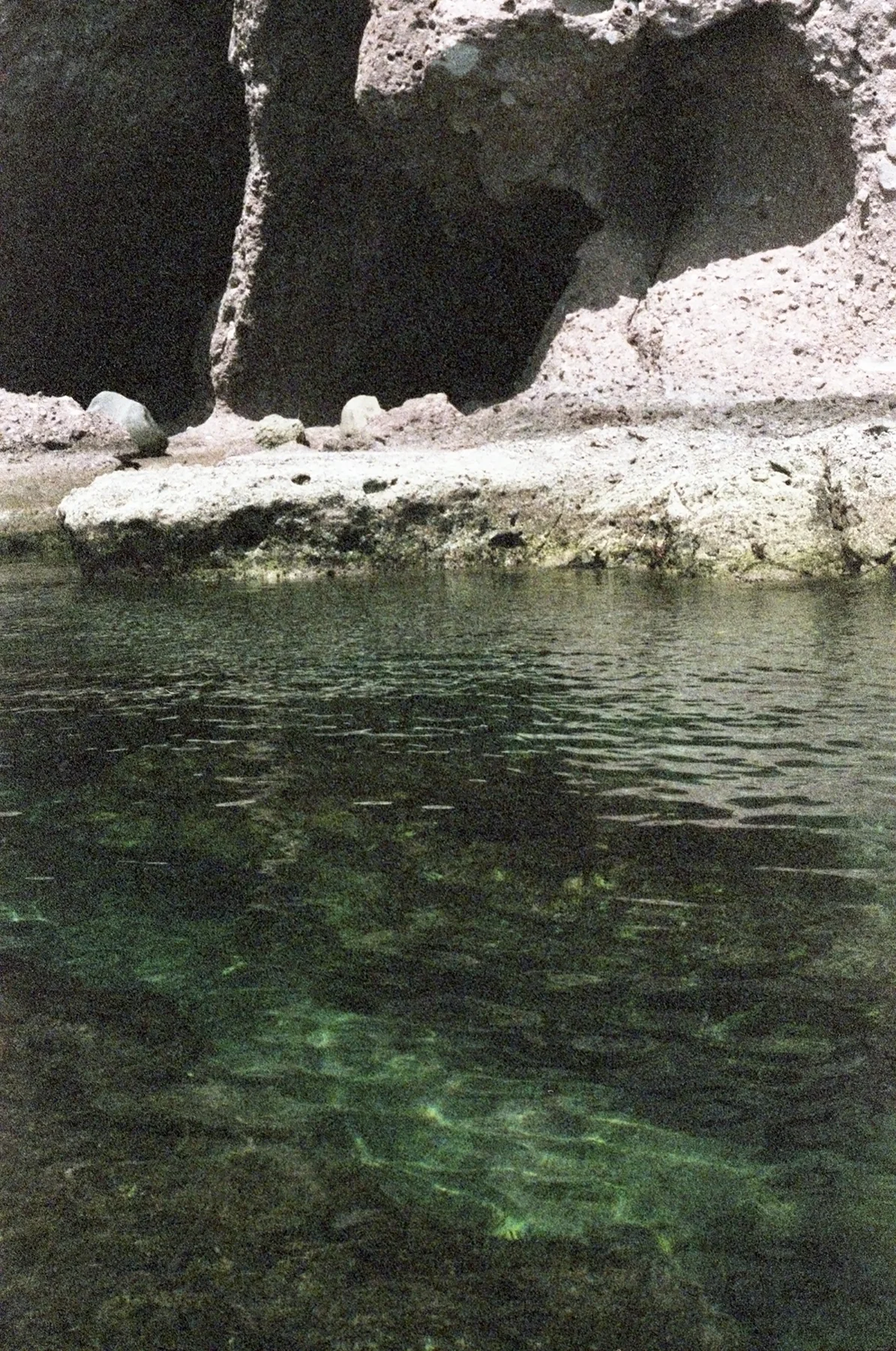 fw-img087.jpg