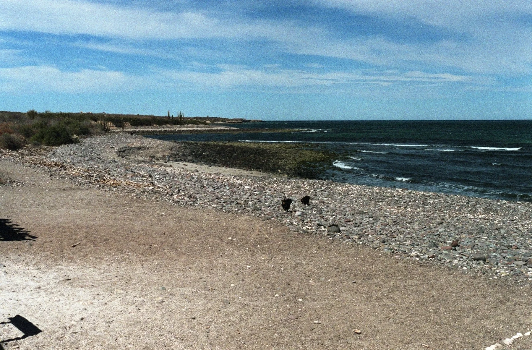 fw-img014.jpg