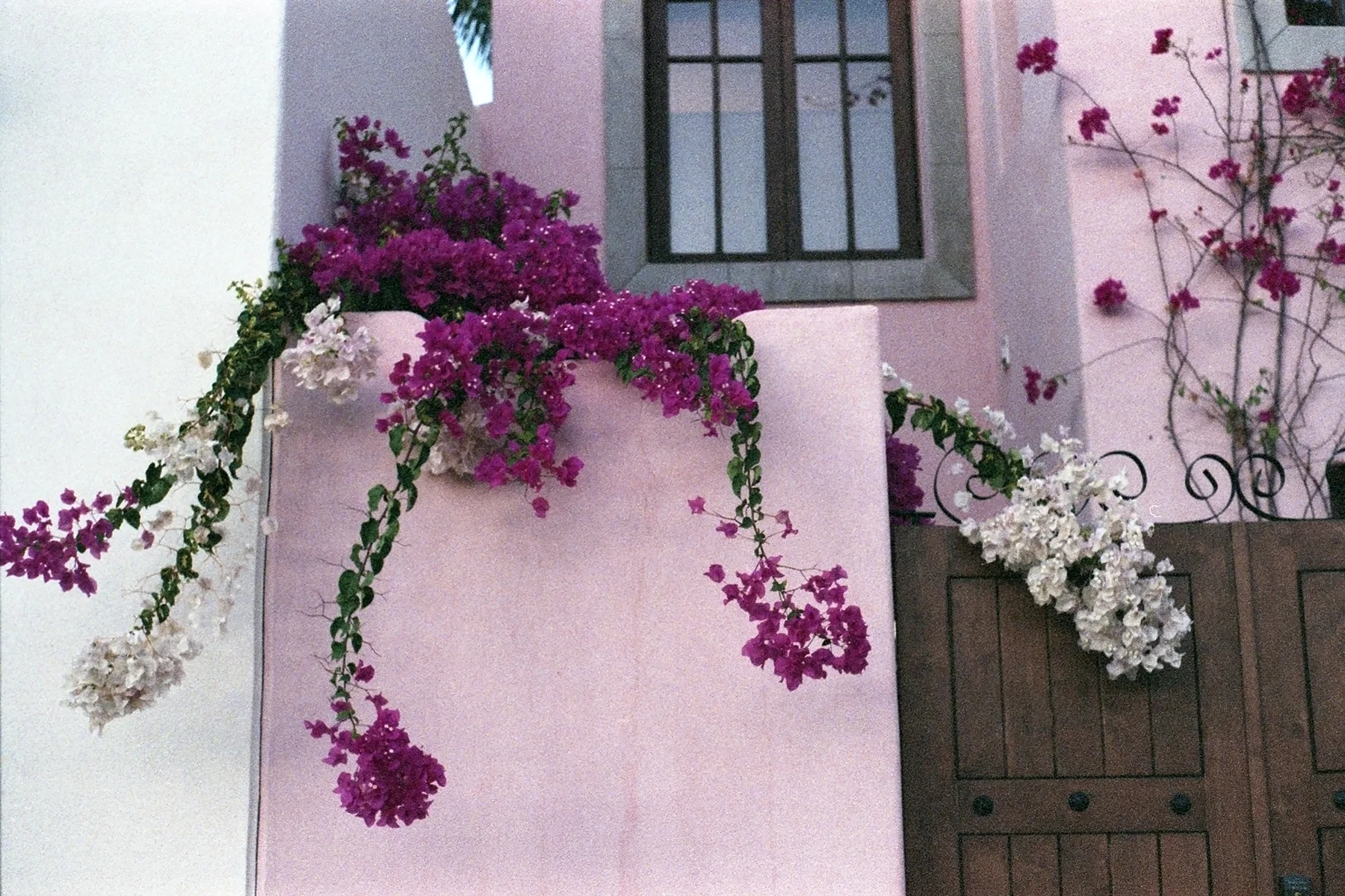 fw-img107.jpg