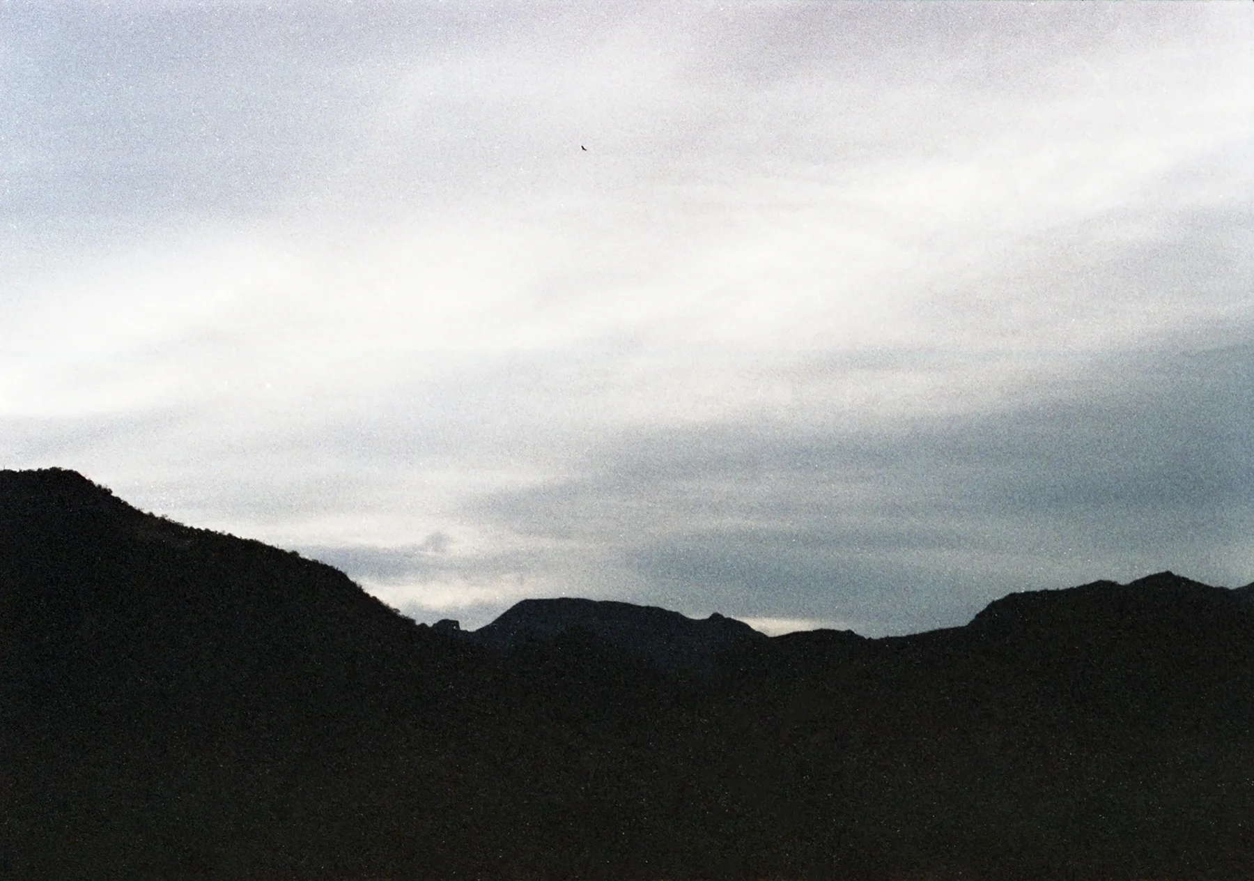 fw-img049.jpg