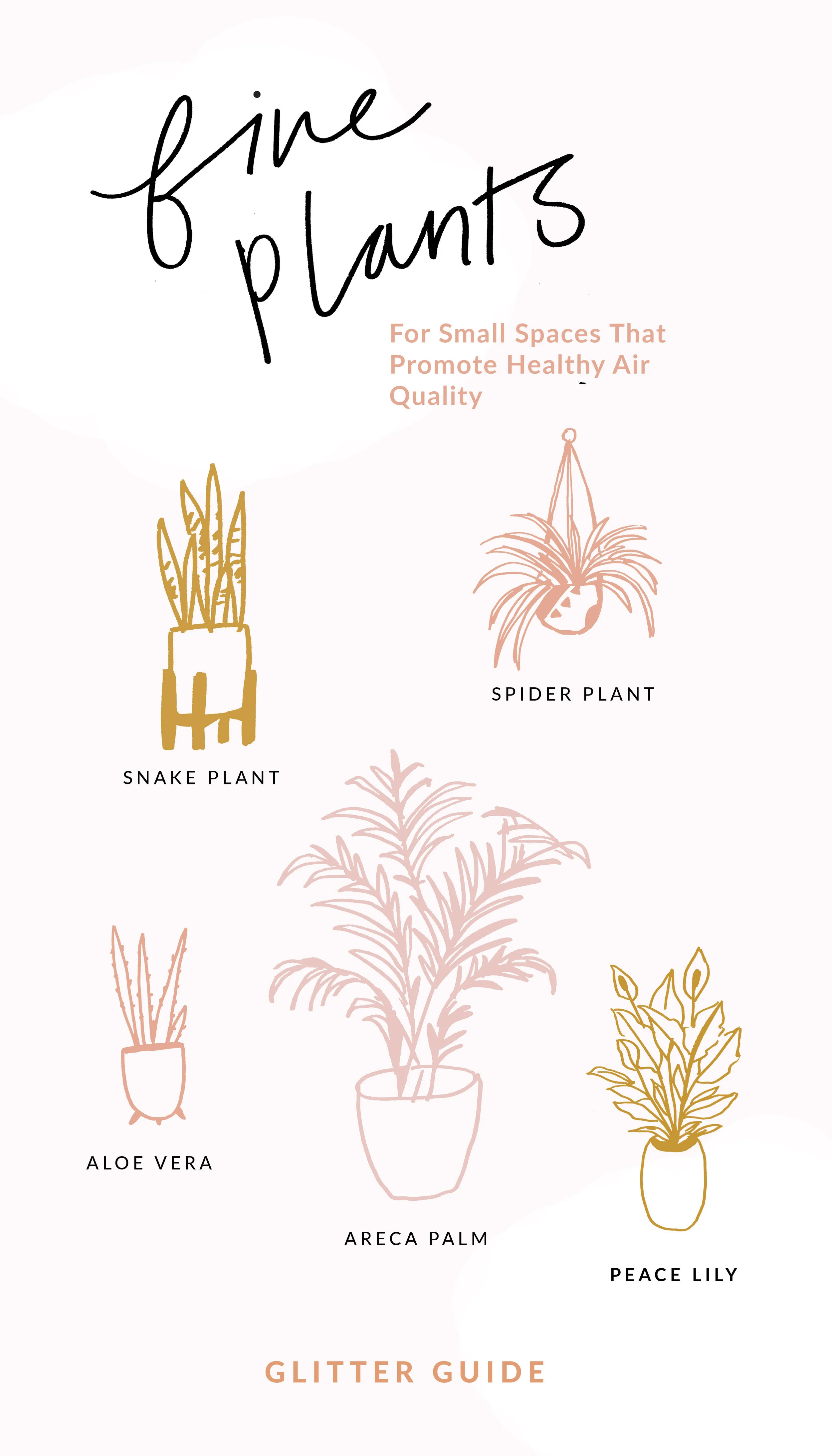 CleanAirPlants.jpg