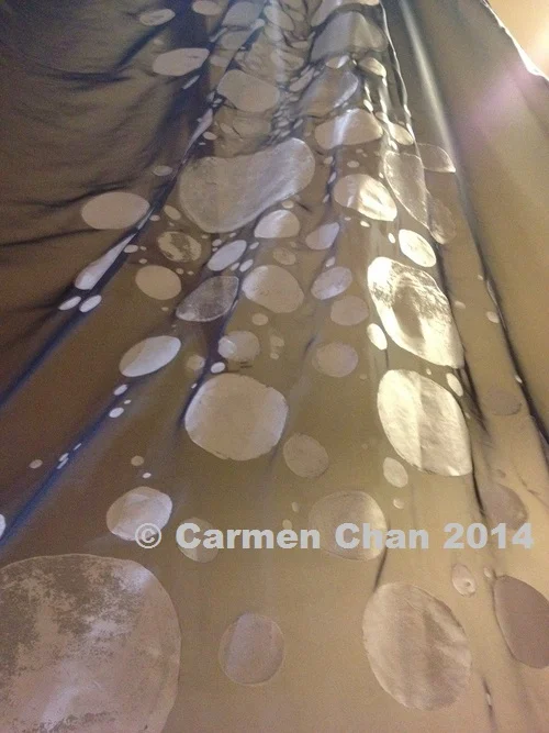 FoSM (detail) (2014)