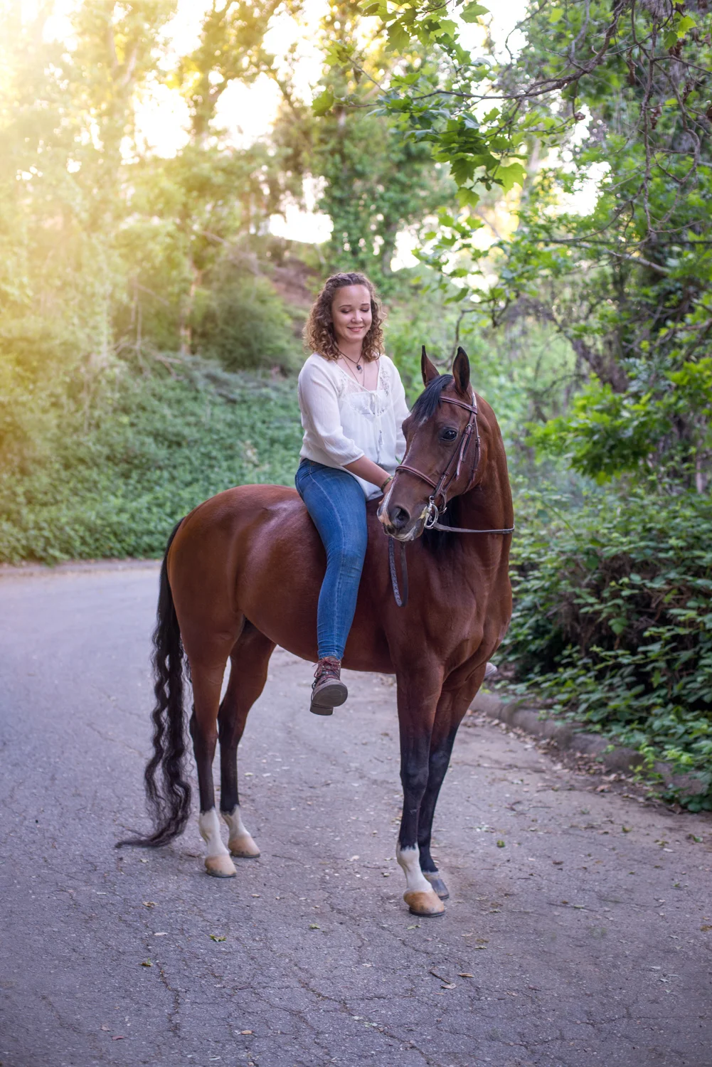 OksanART_Pets_Photography_Inland Empire_dogs_horses_09.jpg