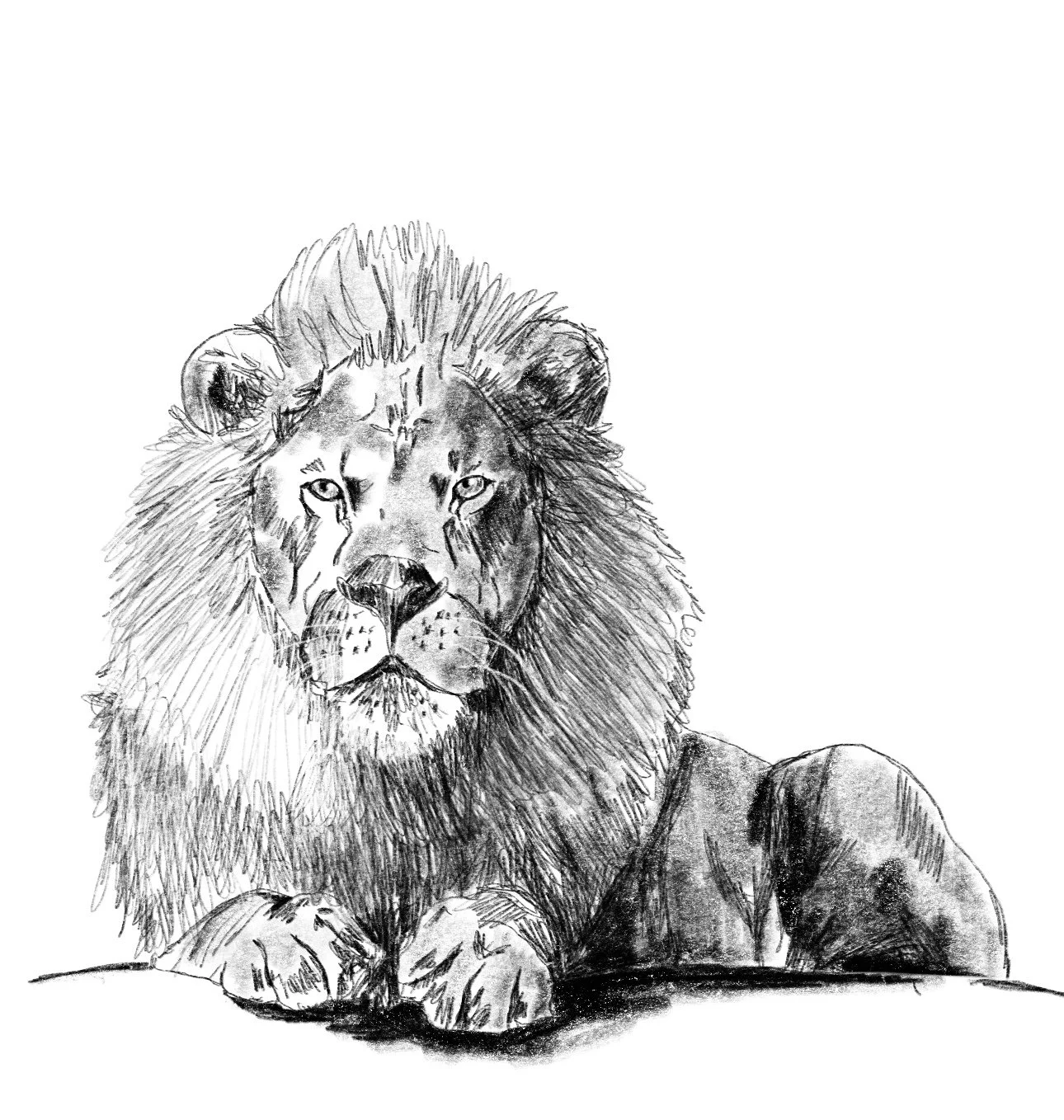 lion_king.jpg