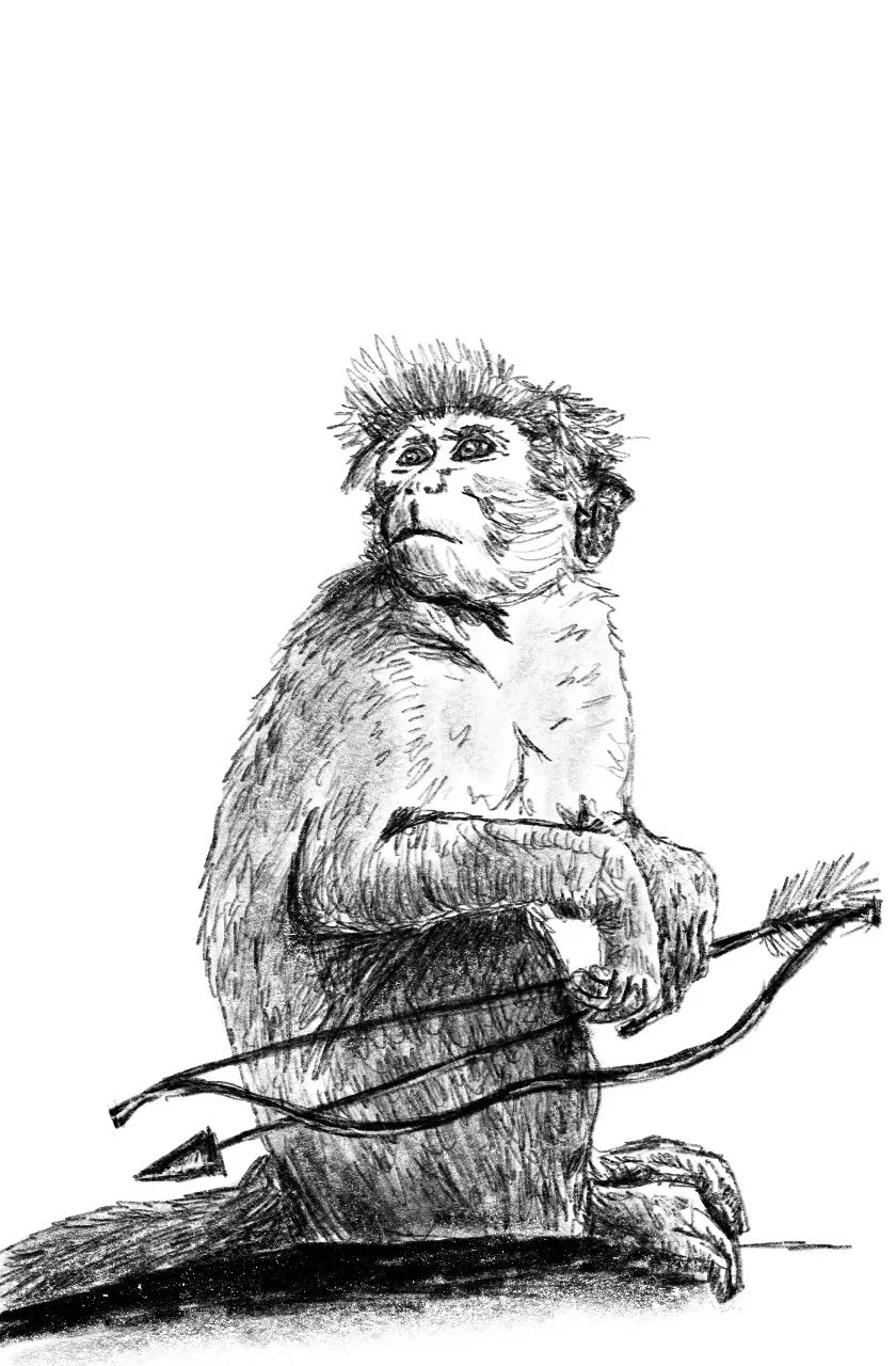 monkey_bow_arrow.jpg