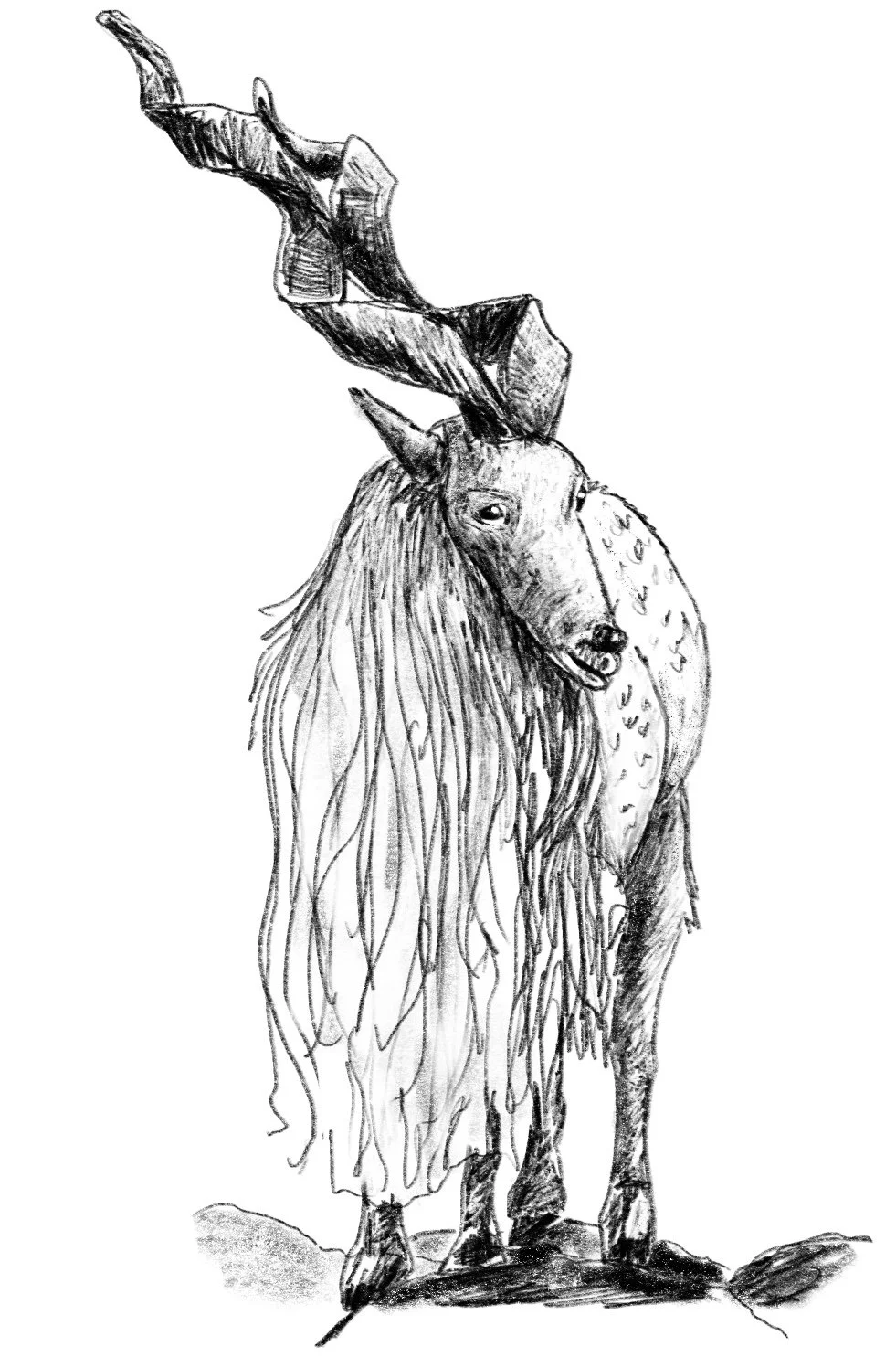 mountain_goat.jpg