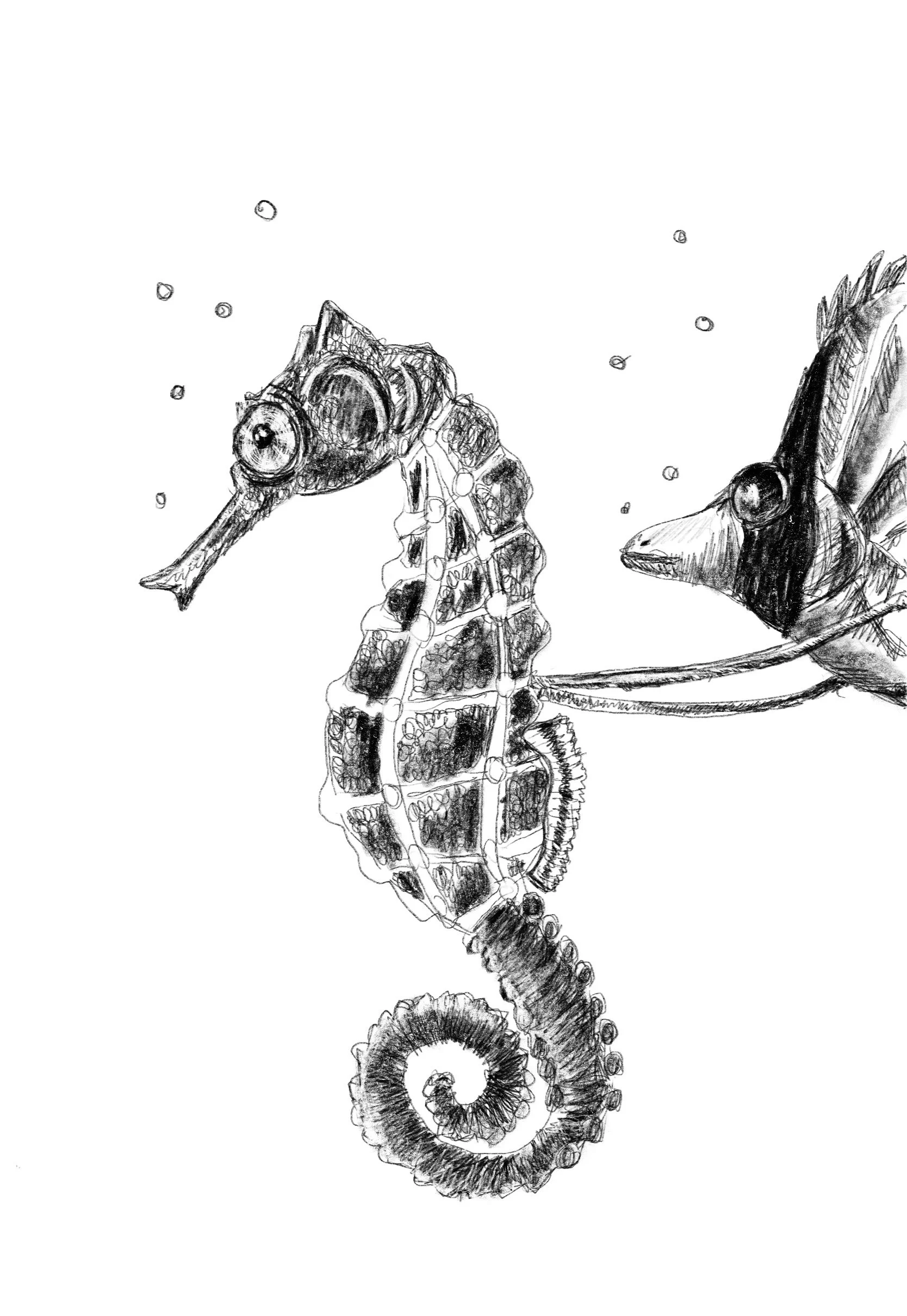 searhorse_tropicalfish.jpg