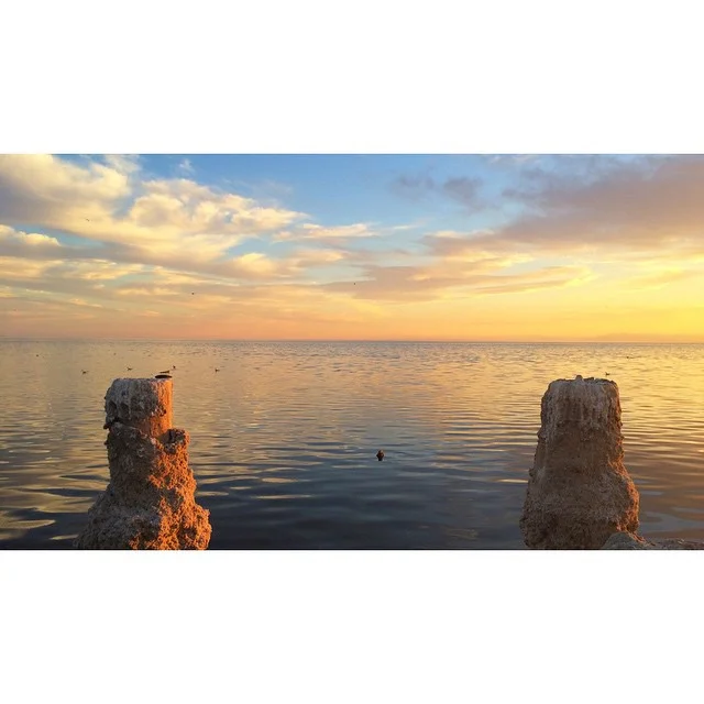 Salton sea. #Octothorpe #hashtag