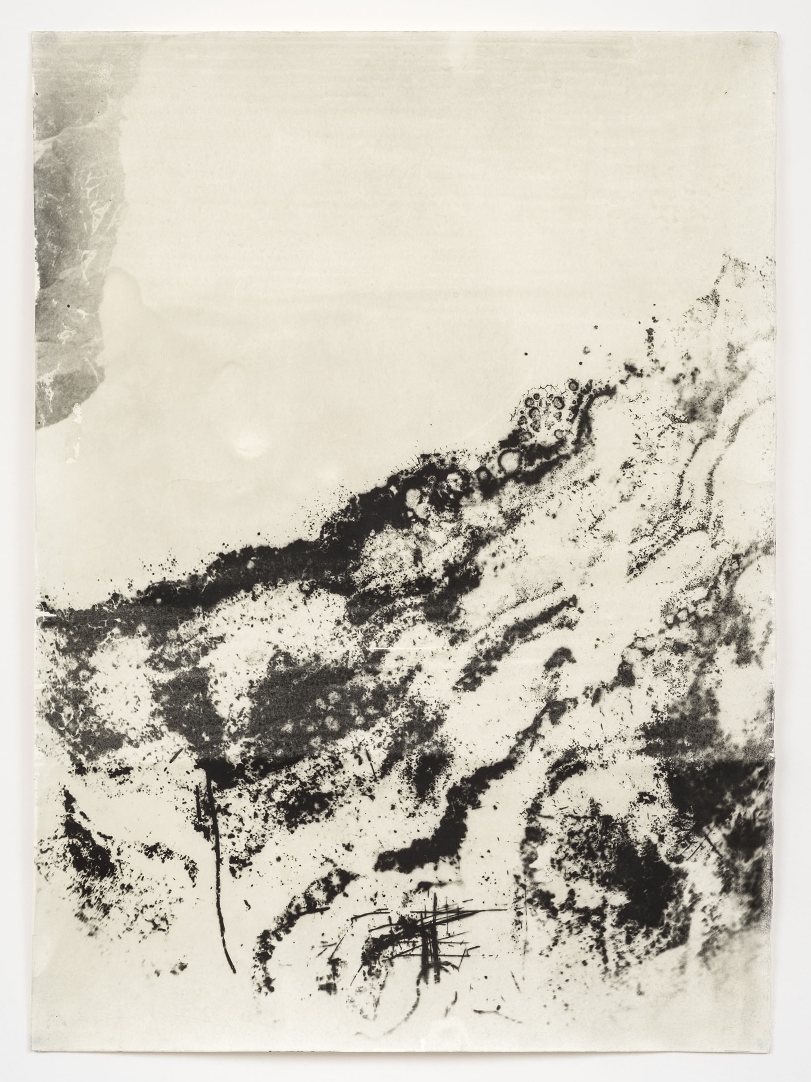 ssugawara_sporenland_4000px_7.jpg