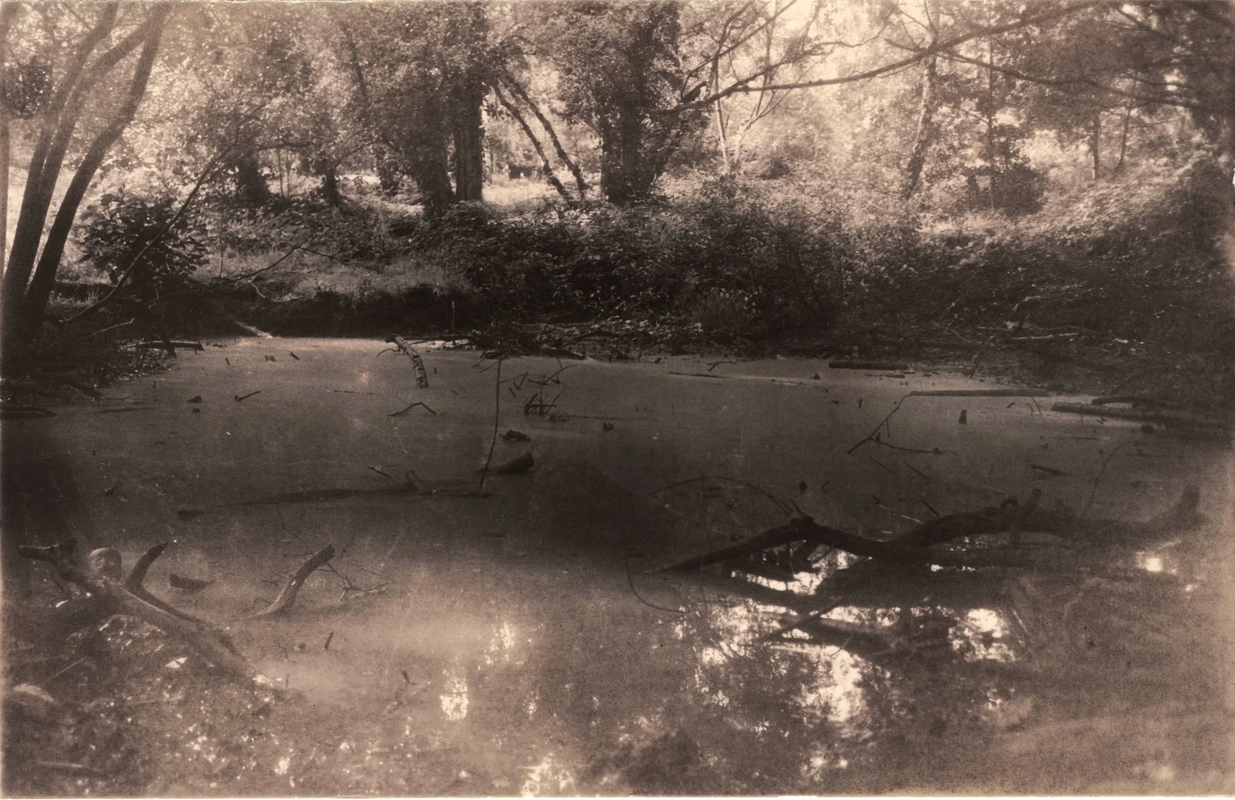 1_Small Pond_Bleached_=BB+Fe.jpeg