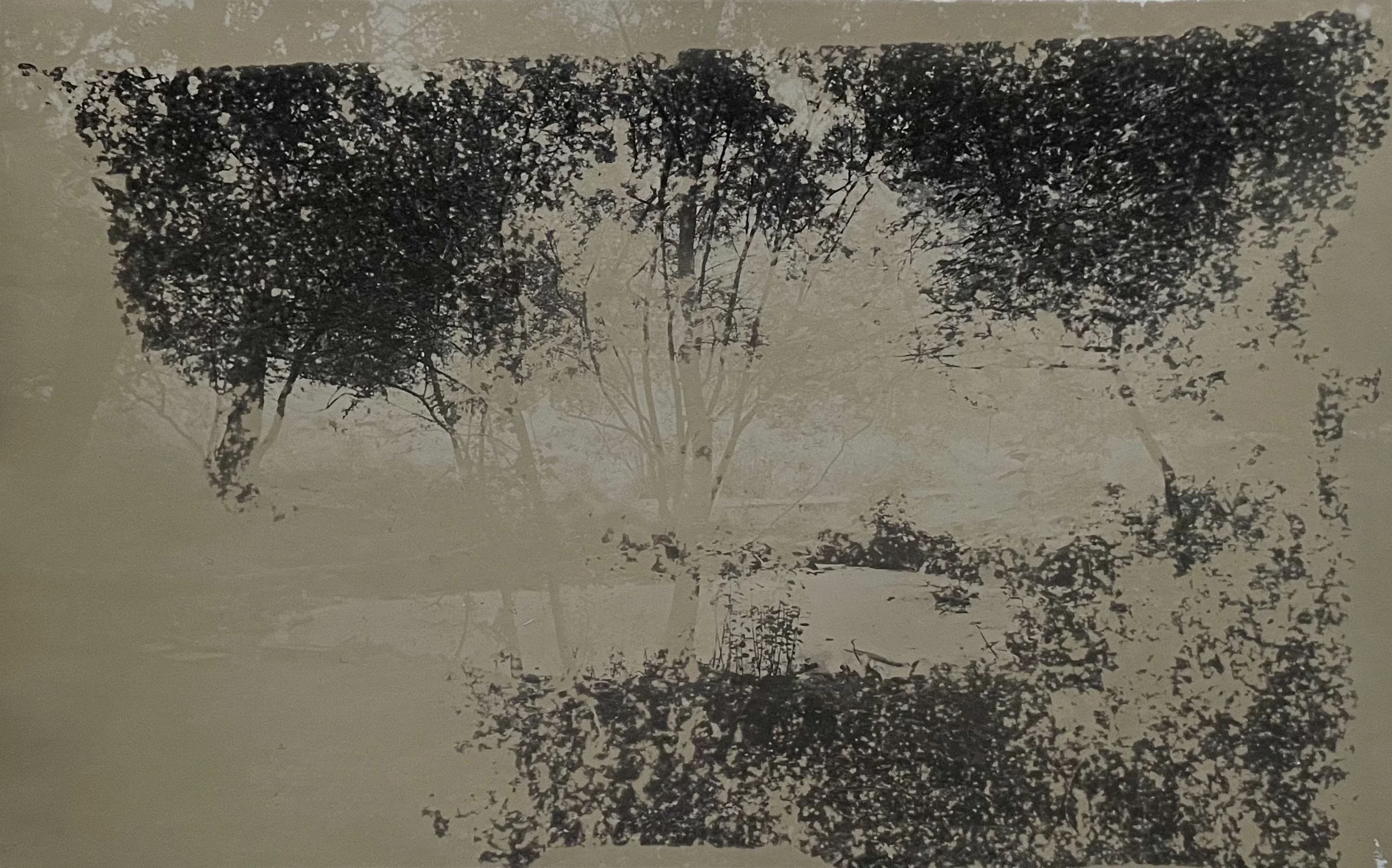 Disappearing Pond_Ironstone_0699.jpeg