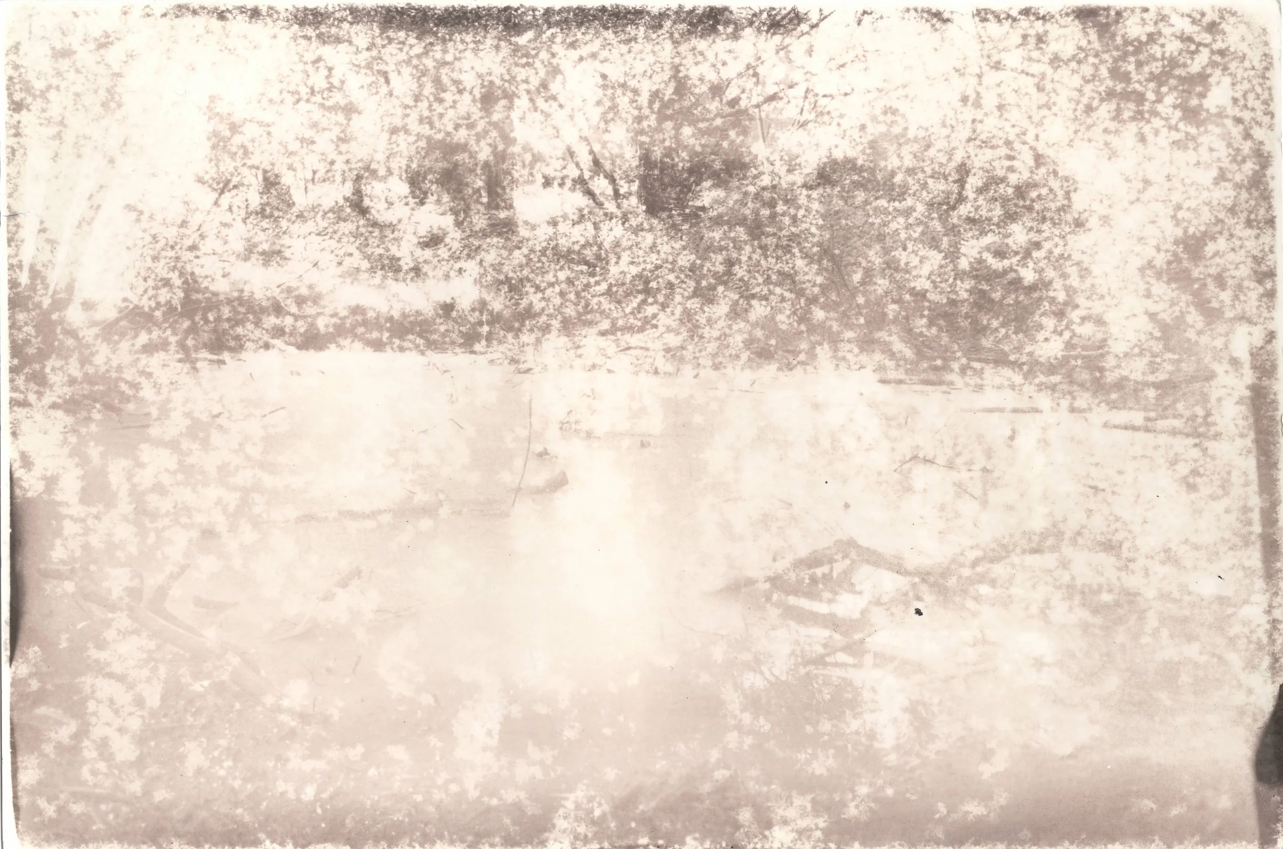 Large Pond_Bleached_BB+Fe_1.jpeg