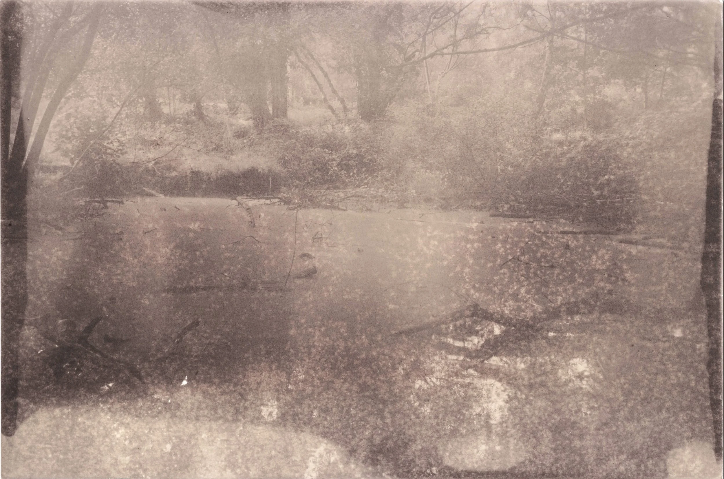 Large Pond_Bleached_BB+Fe_5.jpeg