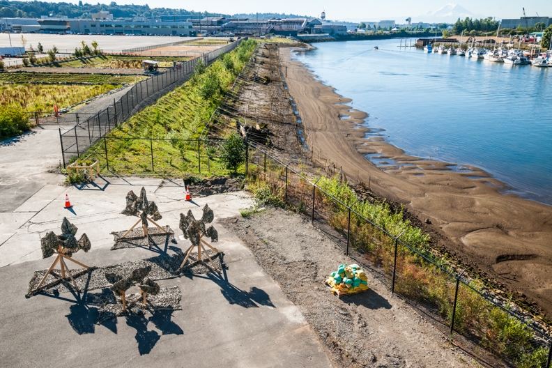 PLANT 2015 art installation at Boeing Plant 2 on the Duwamish River. Photos by Tim McGuire courtesy Boeing Co.