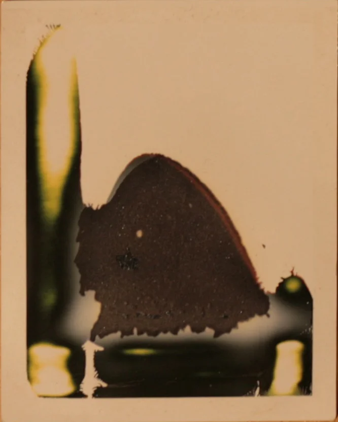 Fuji Instax