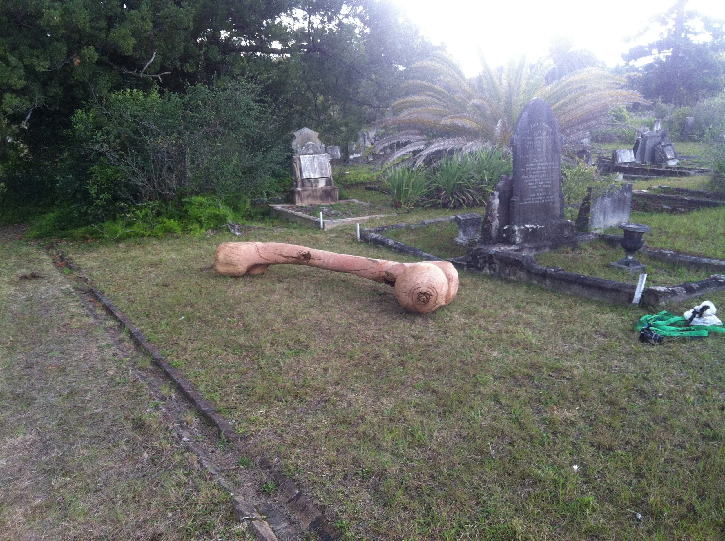 What Once Was, Is