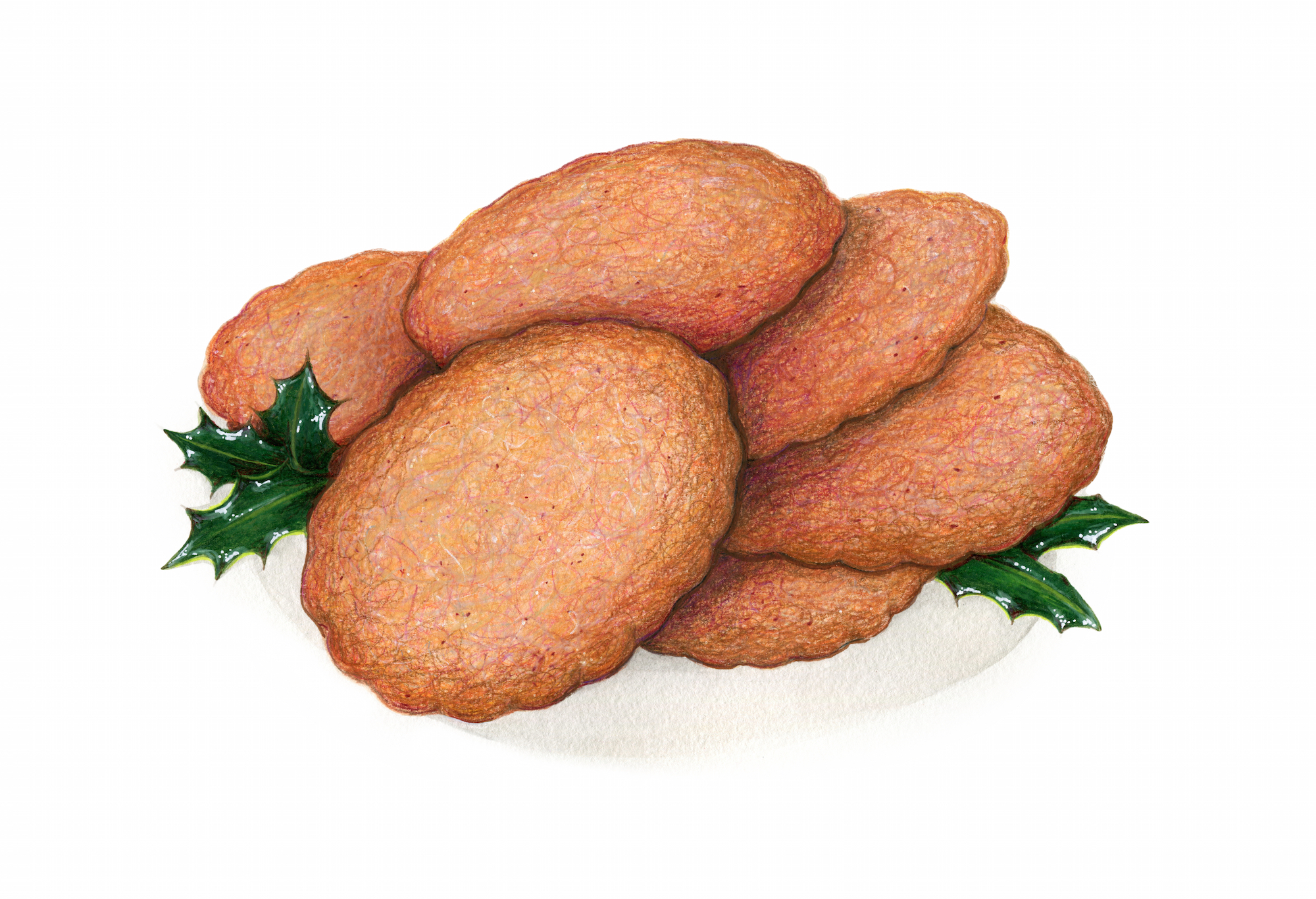 Speculoos.jpg
