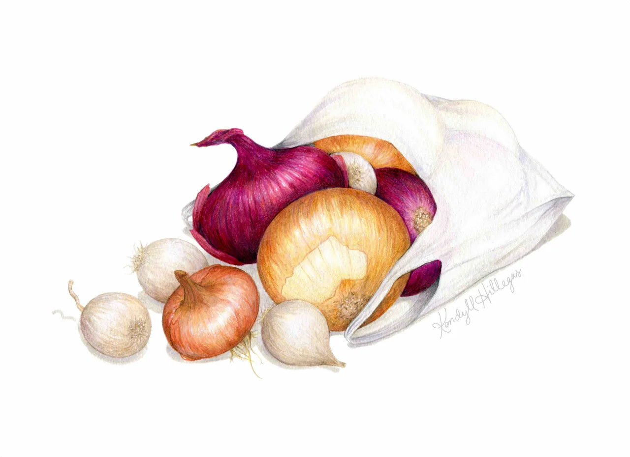 Bag of Onions and Garlic Illustration