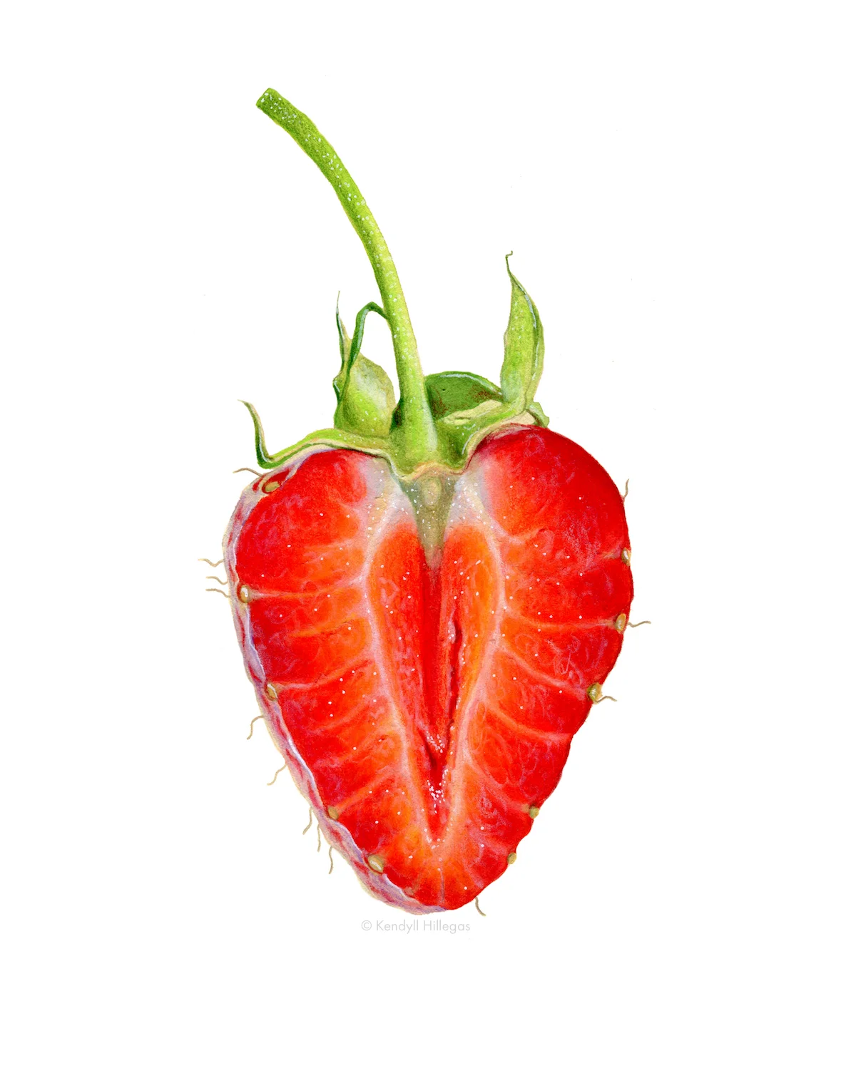 Sliced strawberry illustration