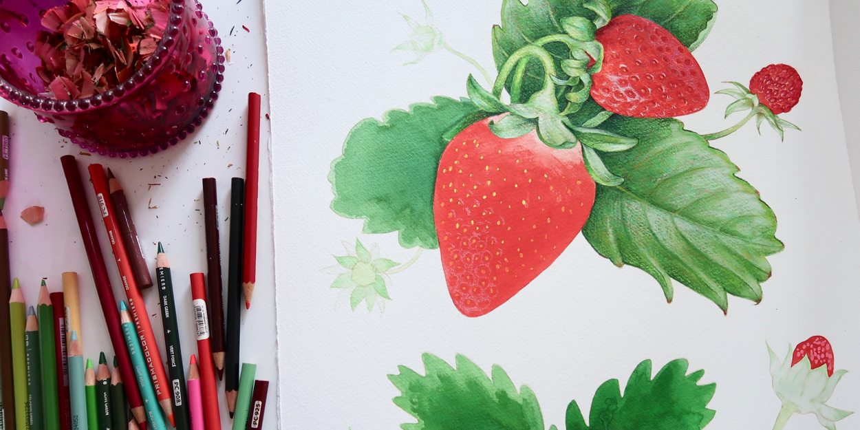 A blend of watercolor, colored pencil and gouache was used to create vivid colors that spoke of the ripeness and flavor of the fruit.