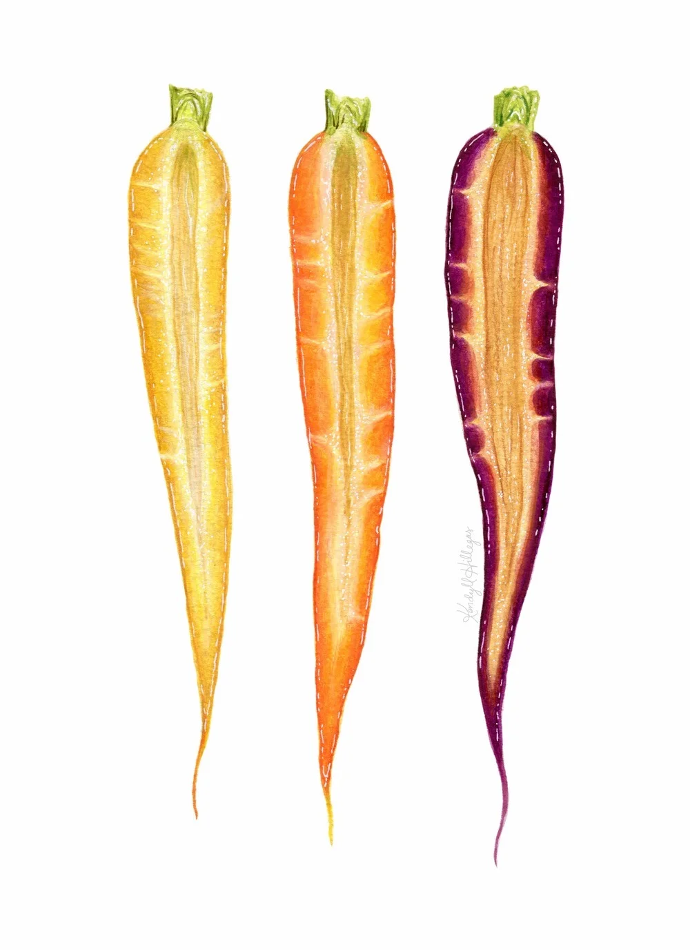 Rainbow Carrot Trio Illustration
