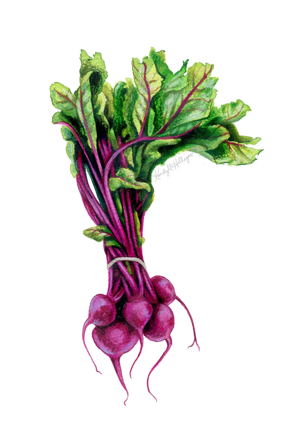 Beets with Leaves