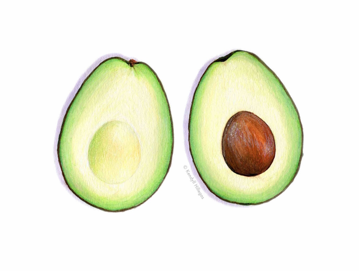 Avocado Cut in Half Illustration