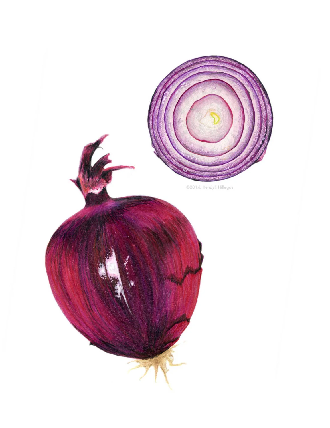 Red Onion