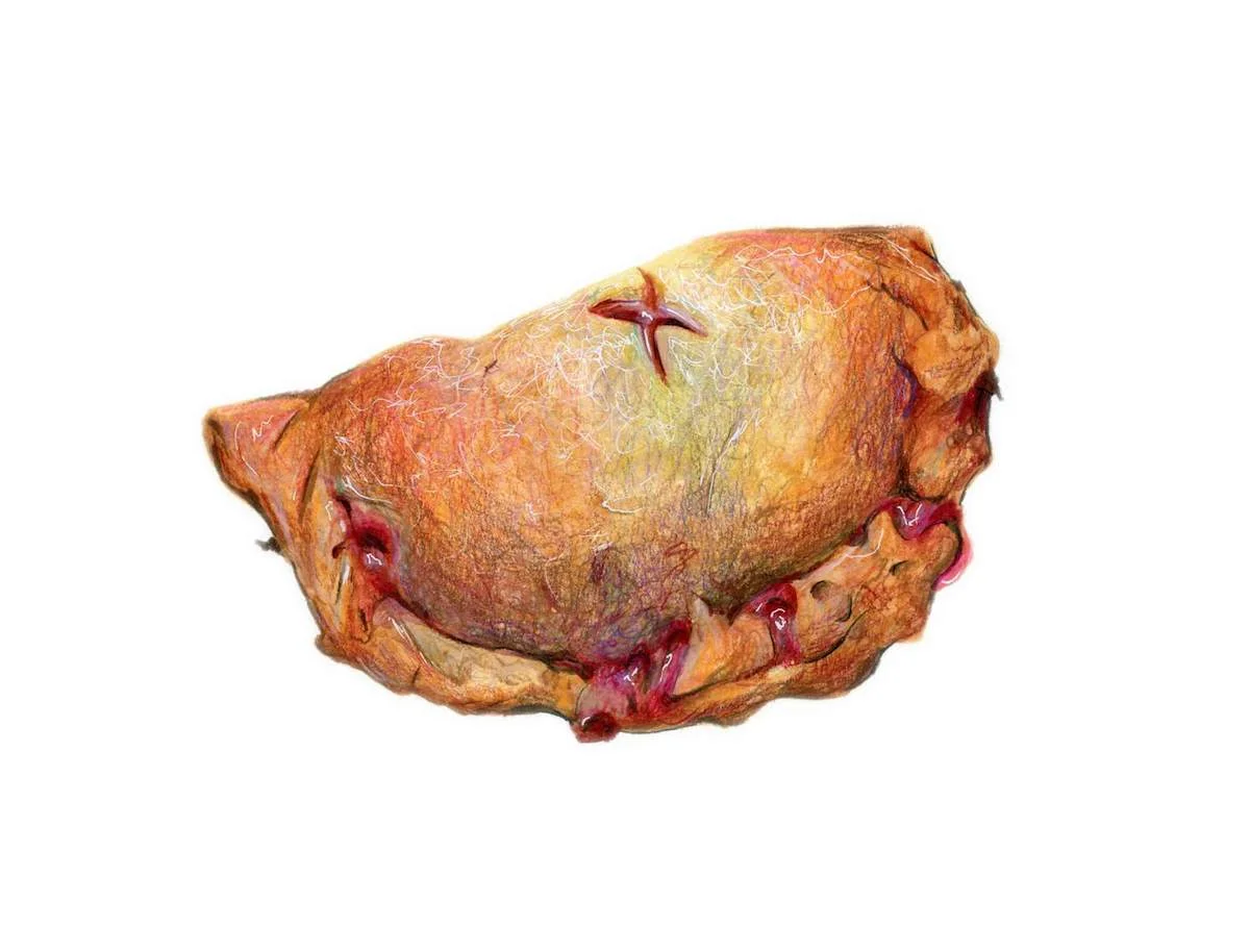 Strawberry Hand Pie Illustration