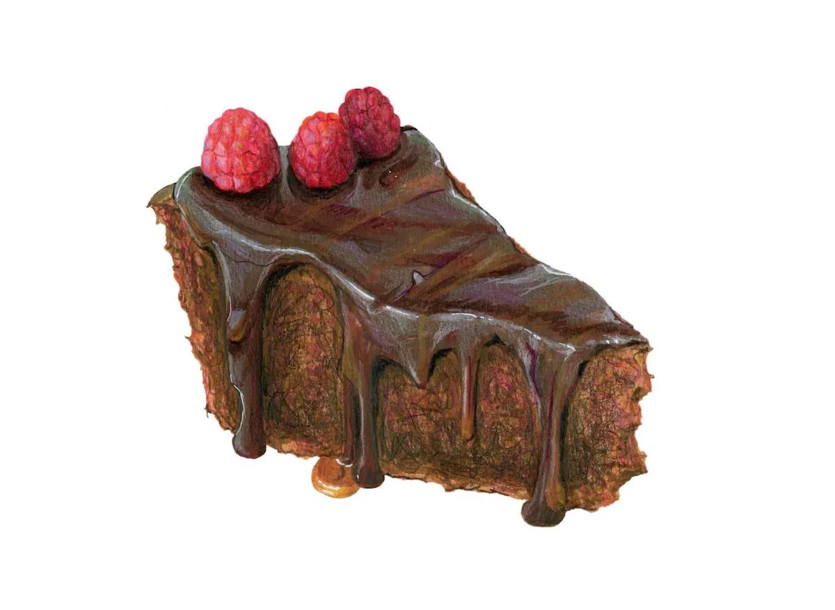 Chocolate Fudge Cake Illustration