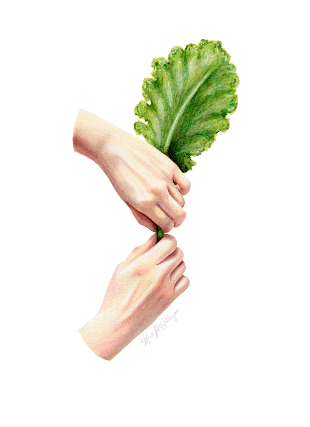 De-stemming Mustard Greens 1