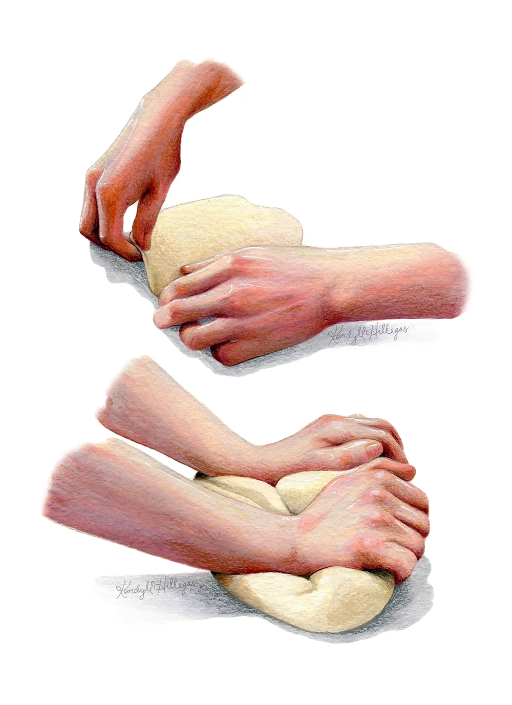 Hands Kneading Illustration