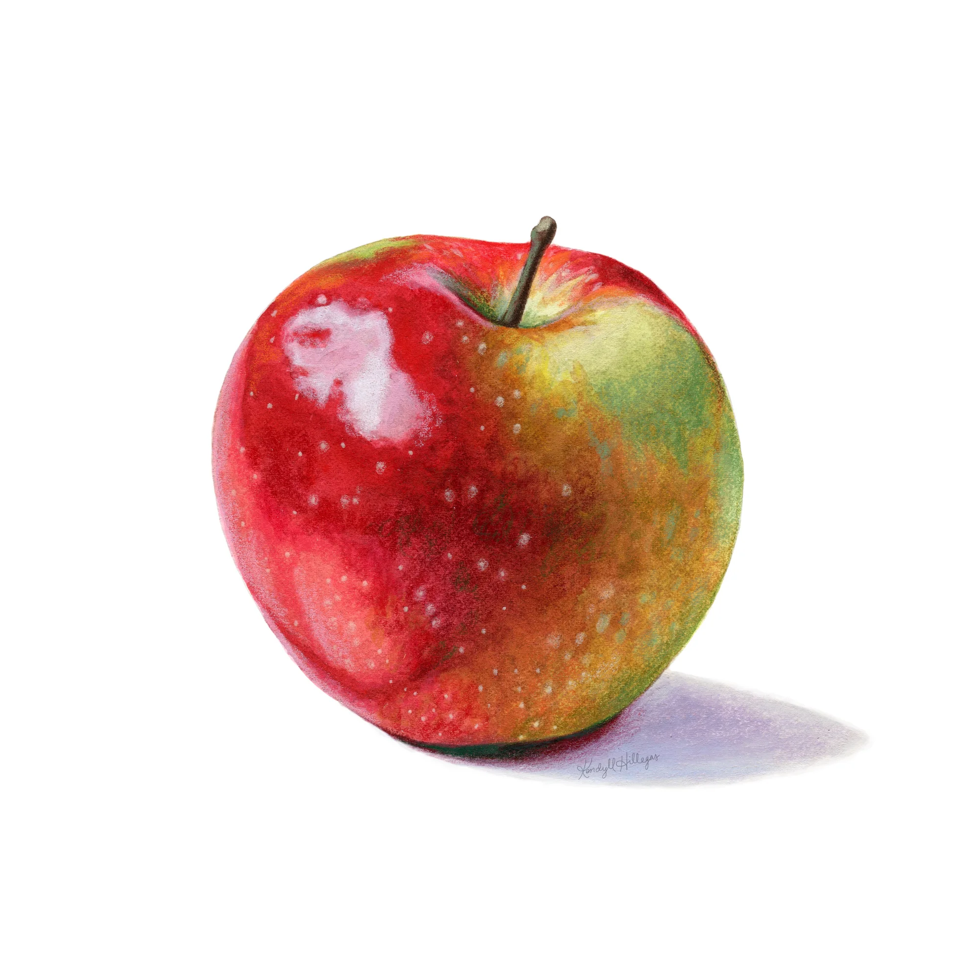 Shiny Red and Green Apple Illustration
