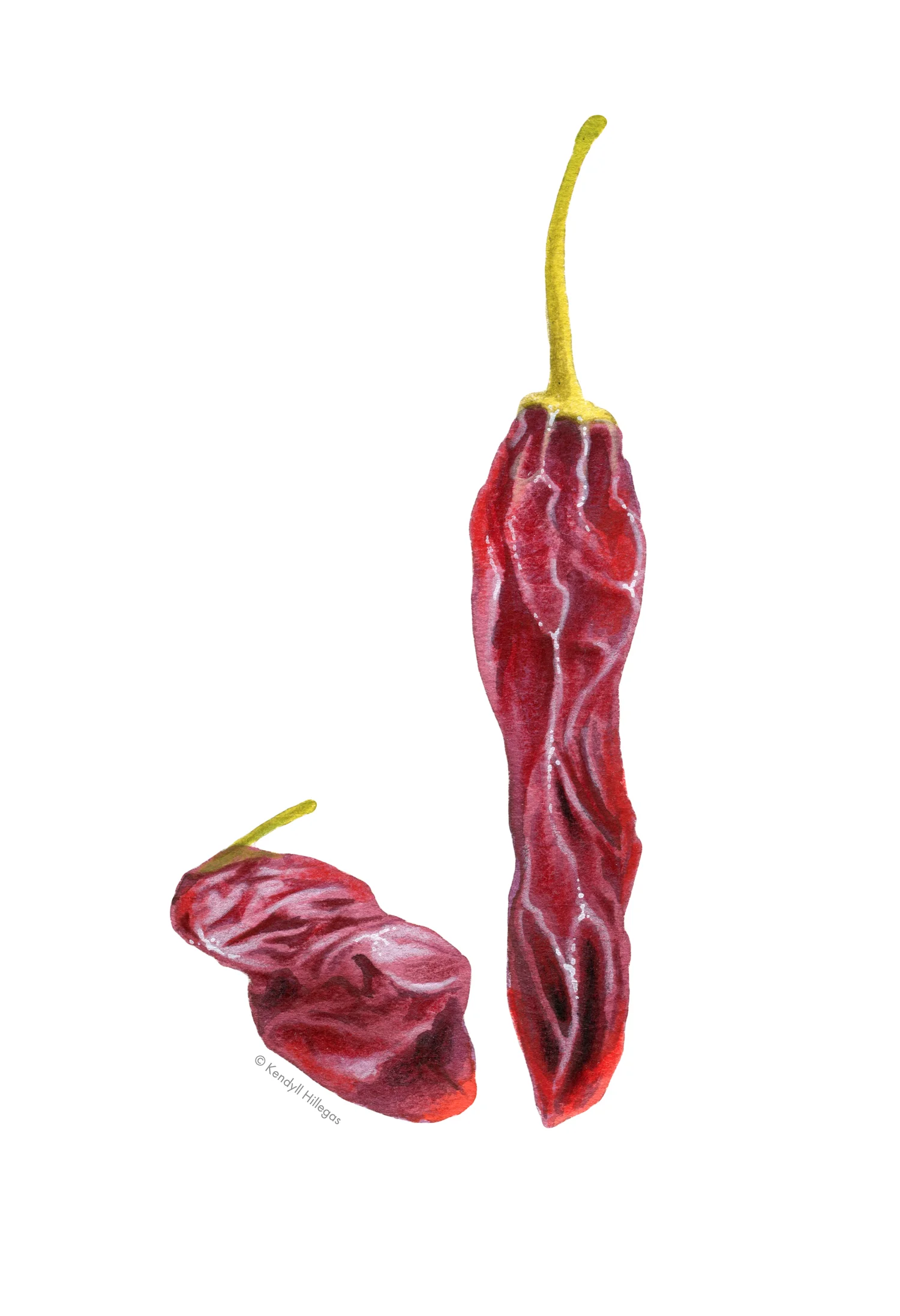Morita.jpg