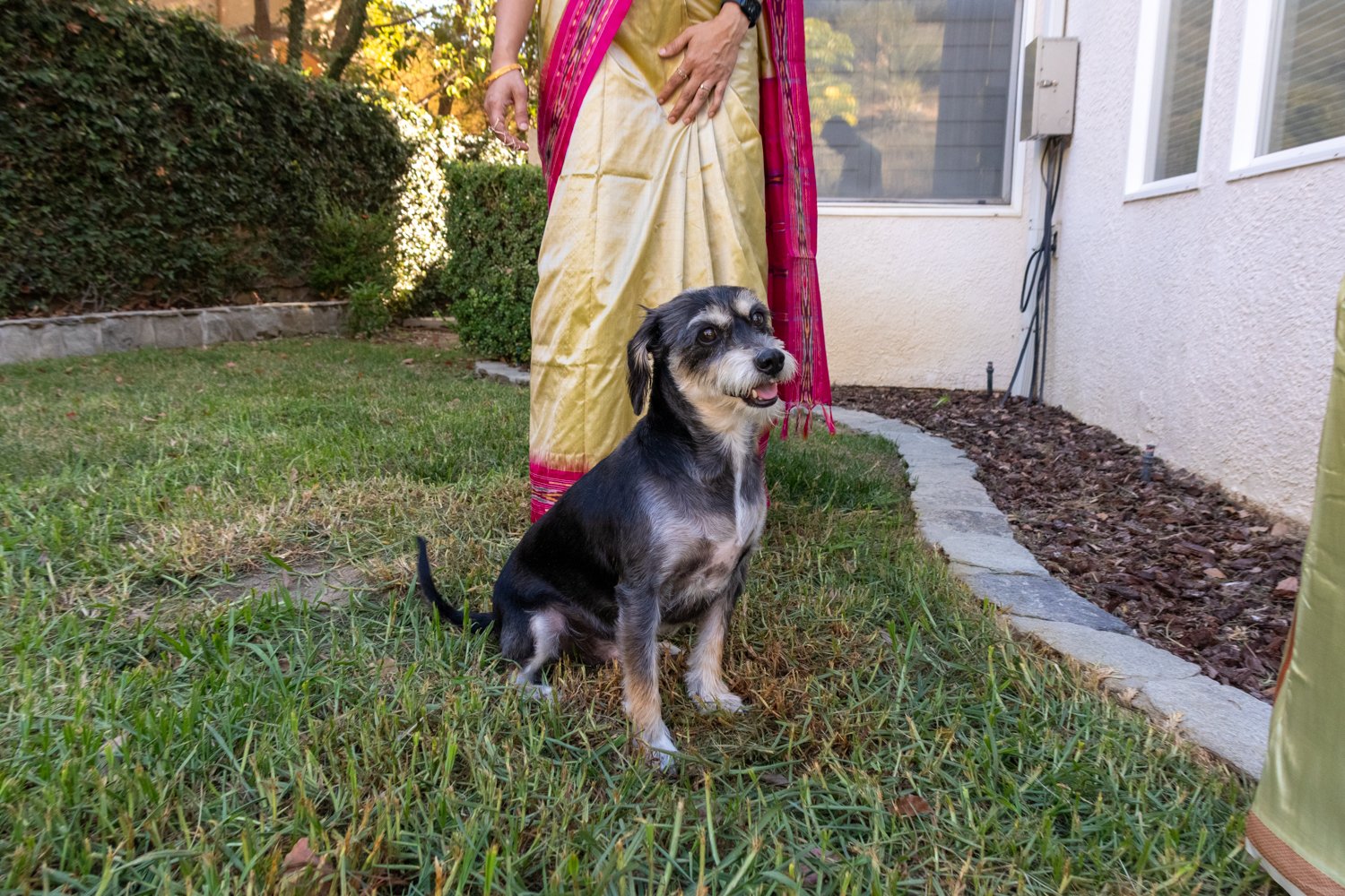 Ashok-311.jpg