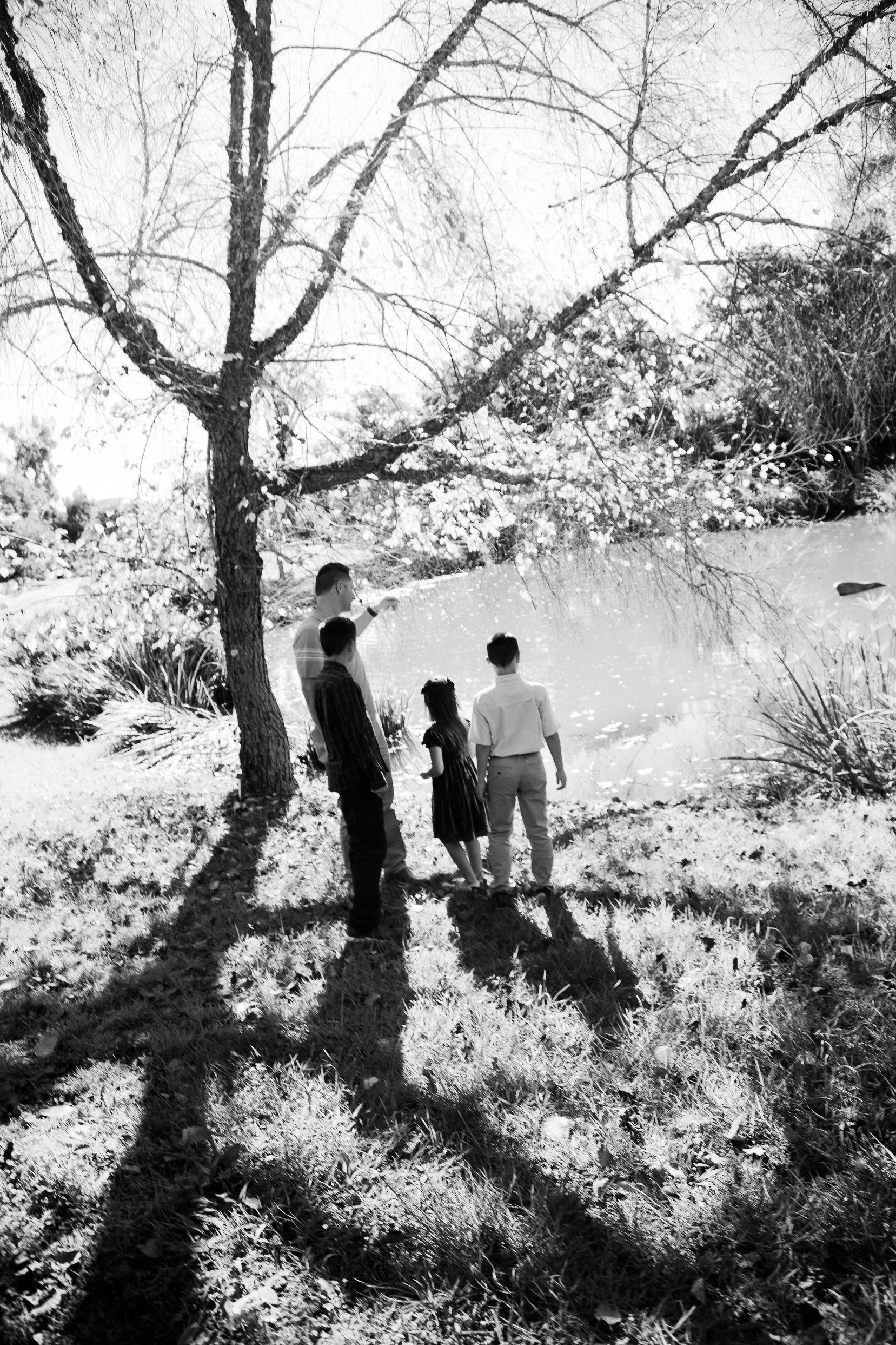 5D4_0175.jpg