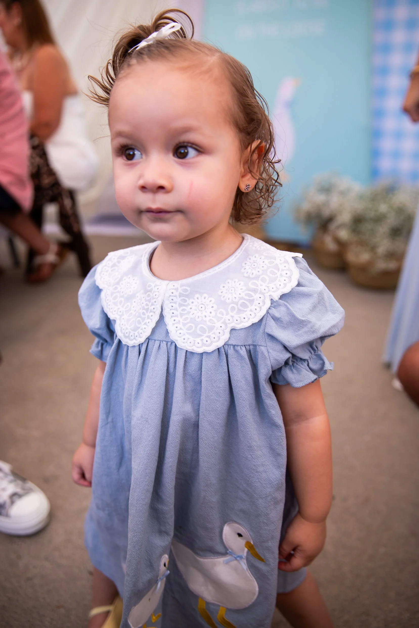 260815-149.jpg