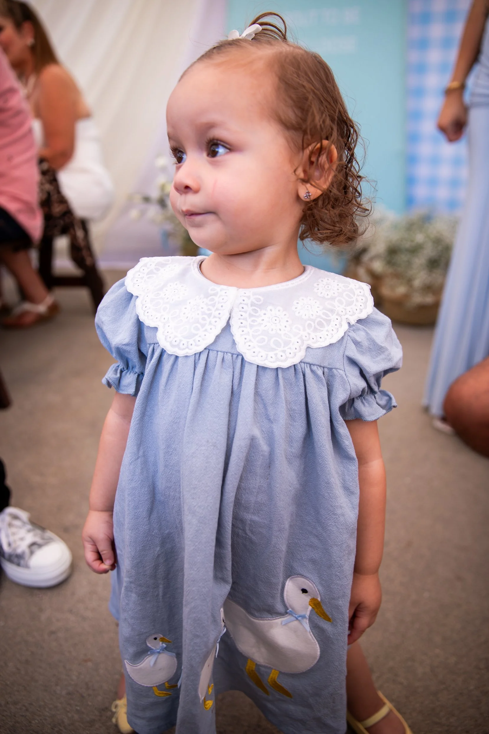 260815-150.jpg