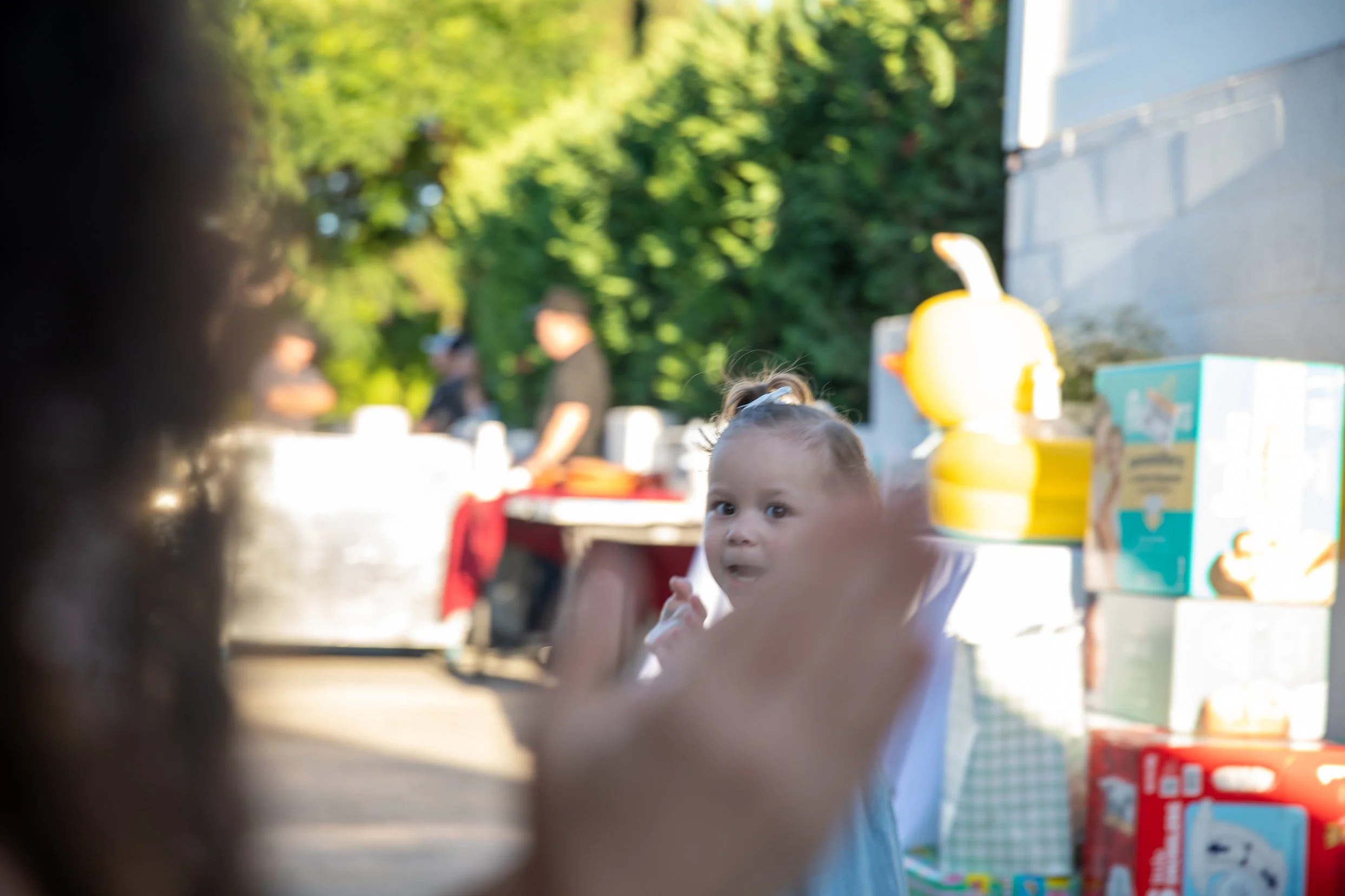 260815-258.jpg