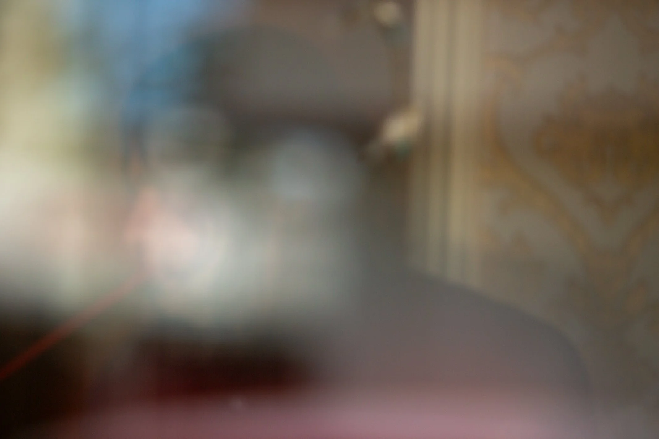 260905_PazWed-55.jpg