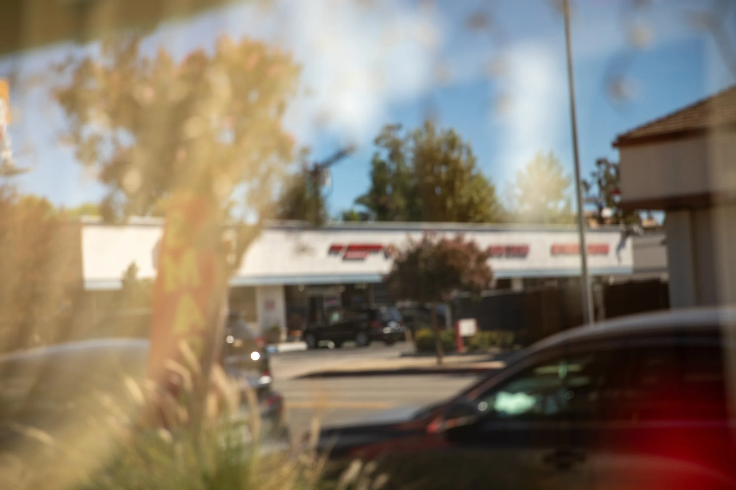 260905_PazWed-96.jpg