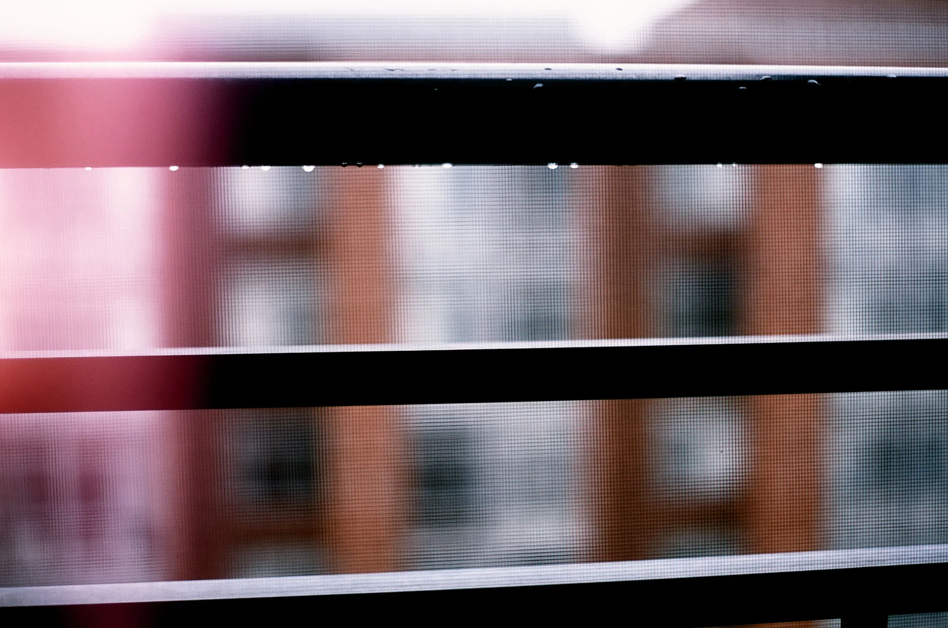 Eggers_blog_009.jpg