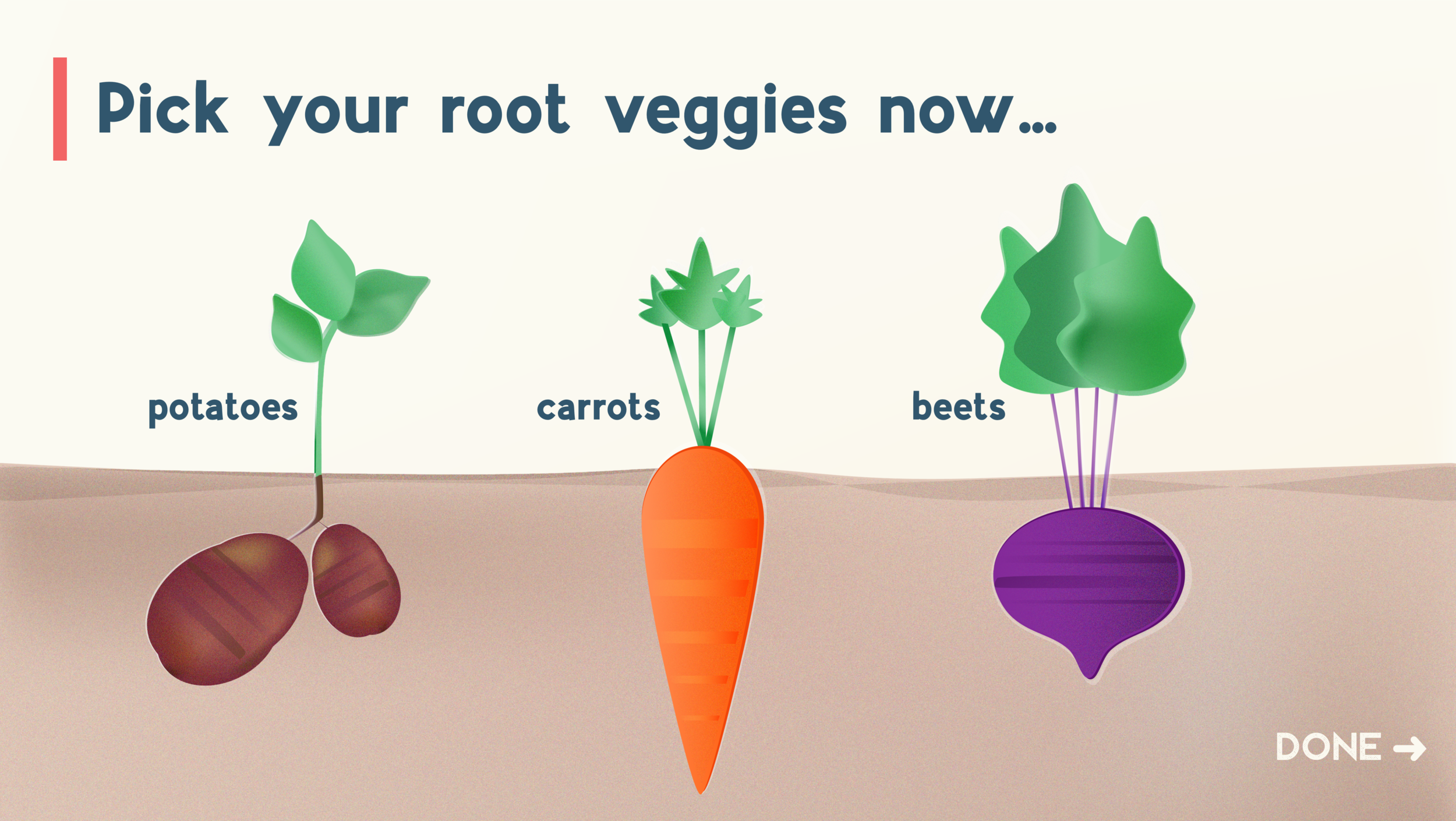 root veggies.png