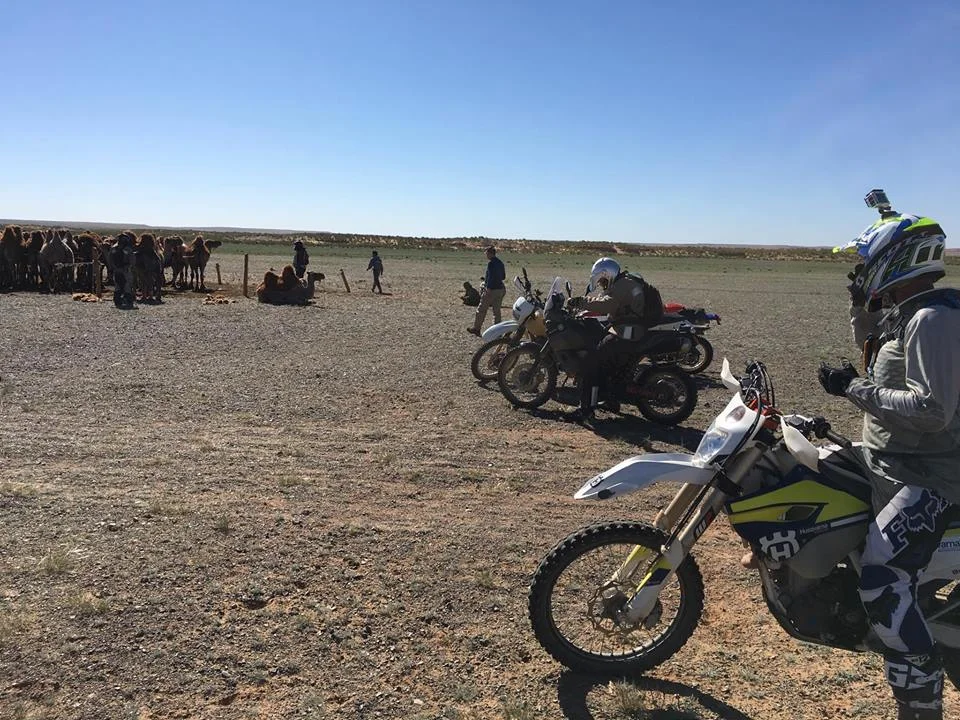 24992235_10213253867012715_171787092_n.jpg