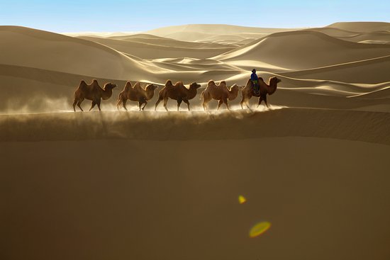 khongor sand dunes.jpg