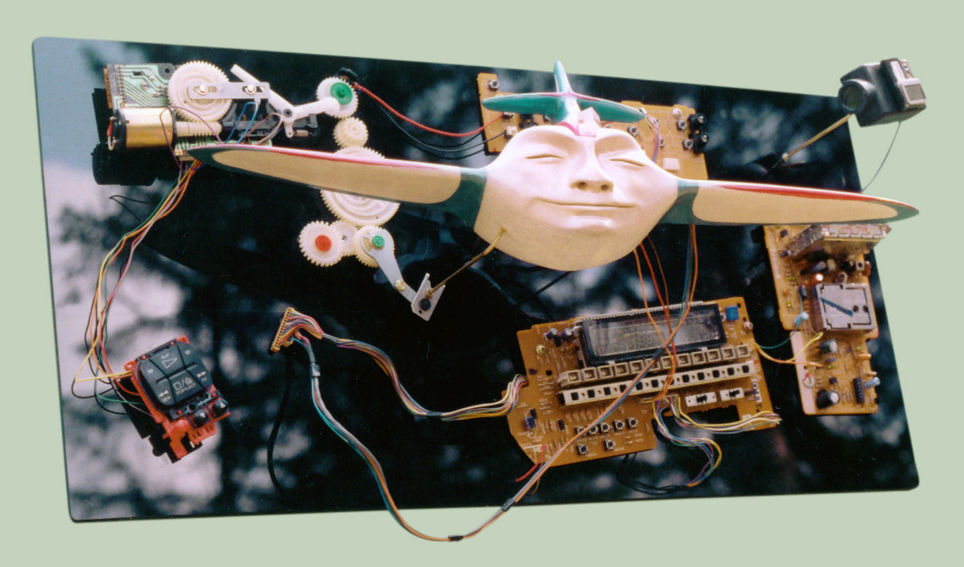 Home Land Security (Virtual Flying)