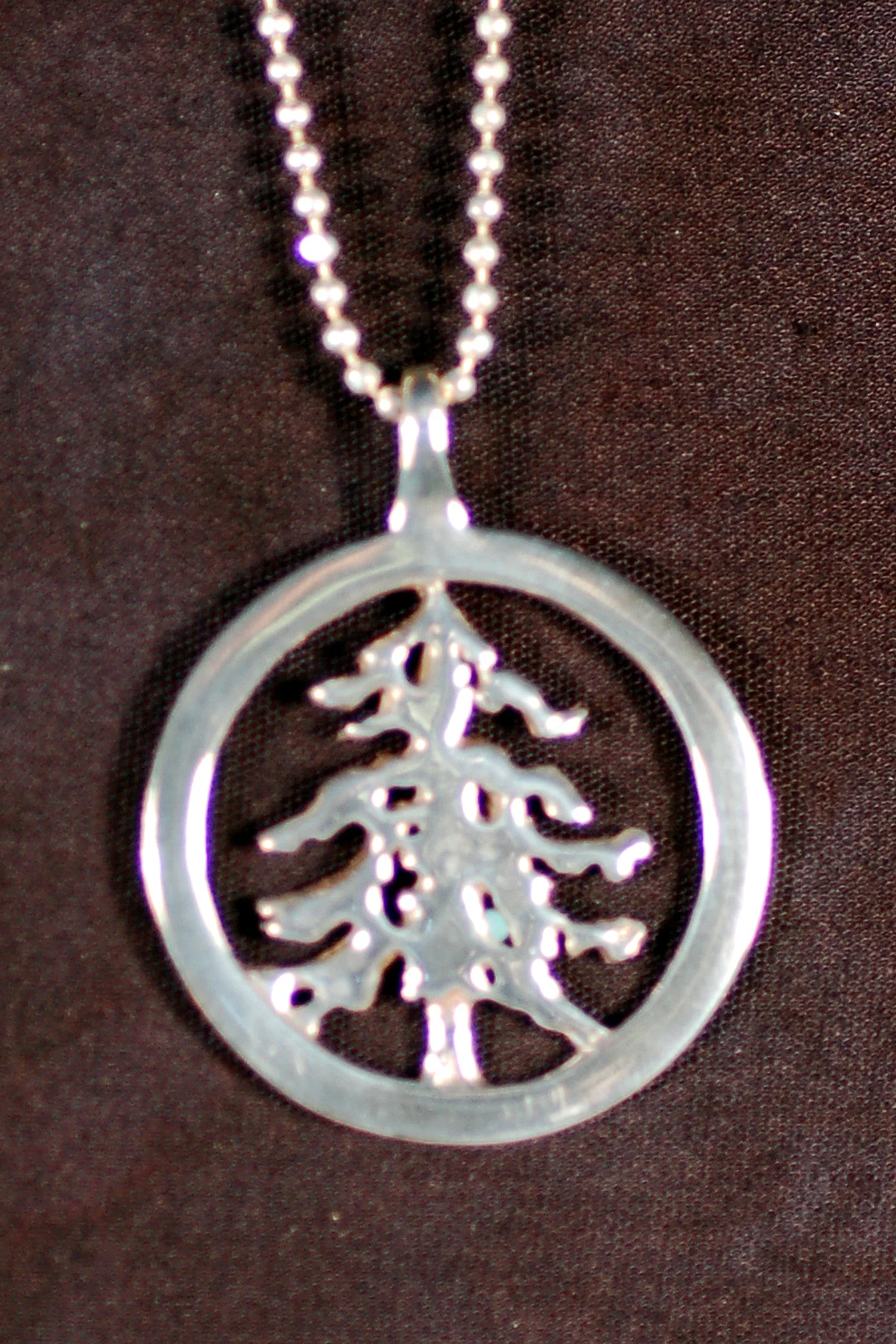 Spruce Tree Circle