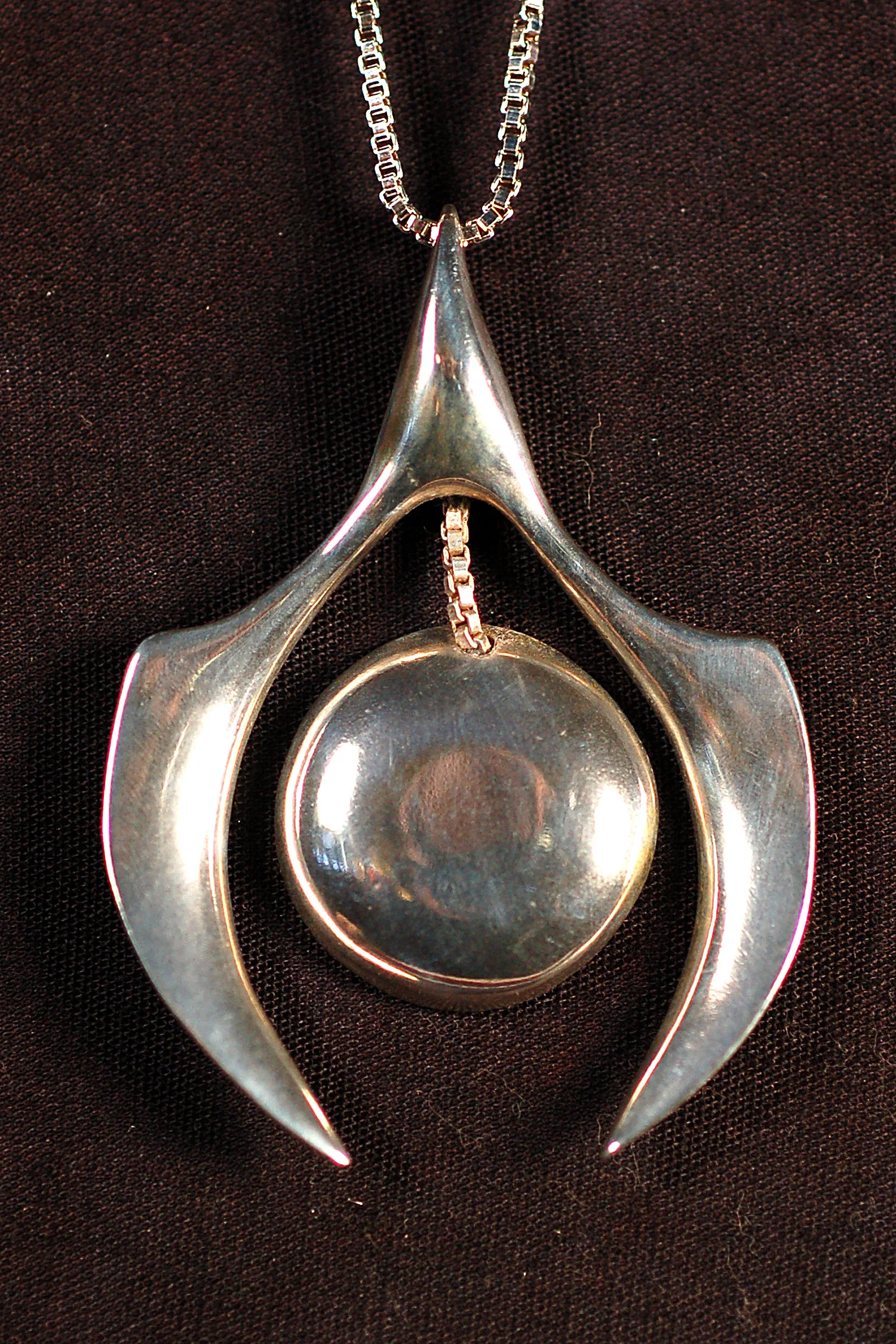 Raven Capturing the Sun