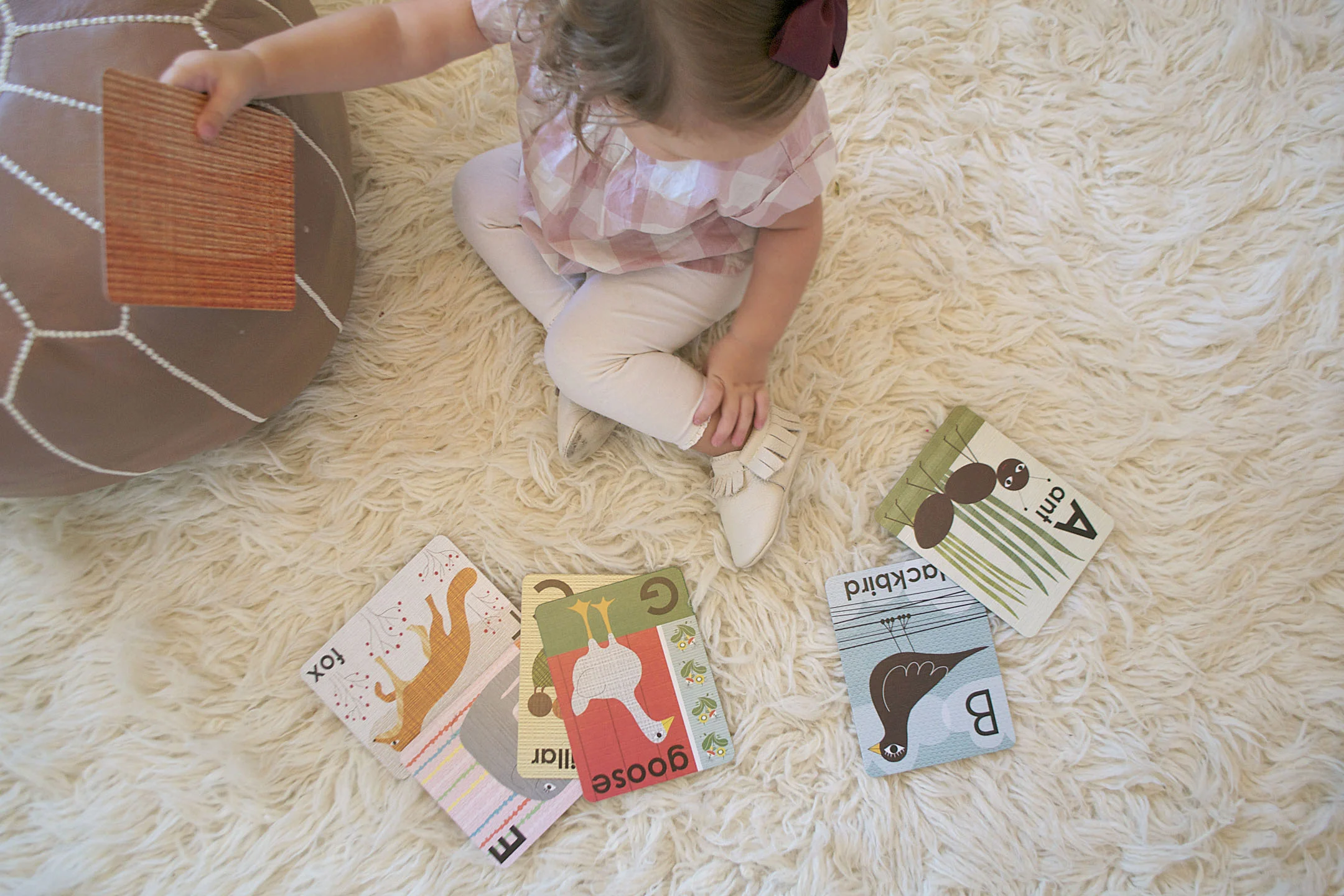 freshly picked giveaway